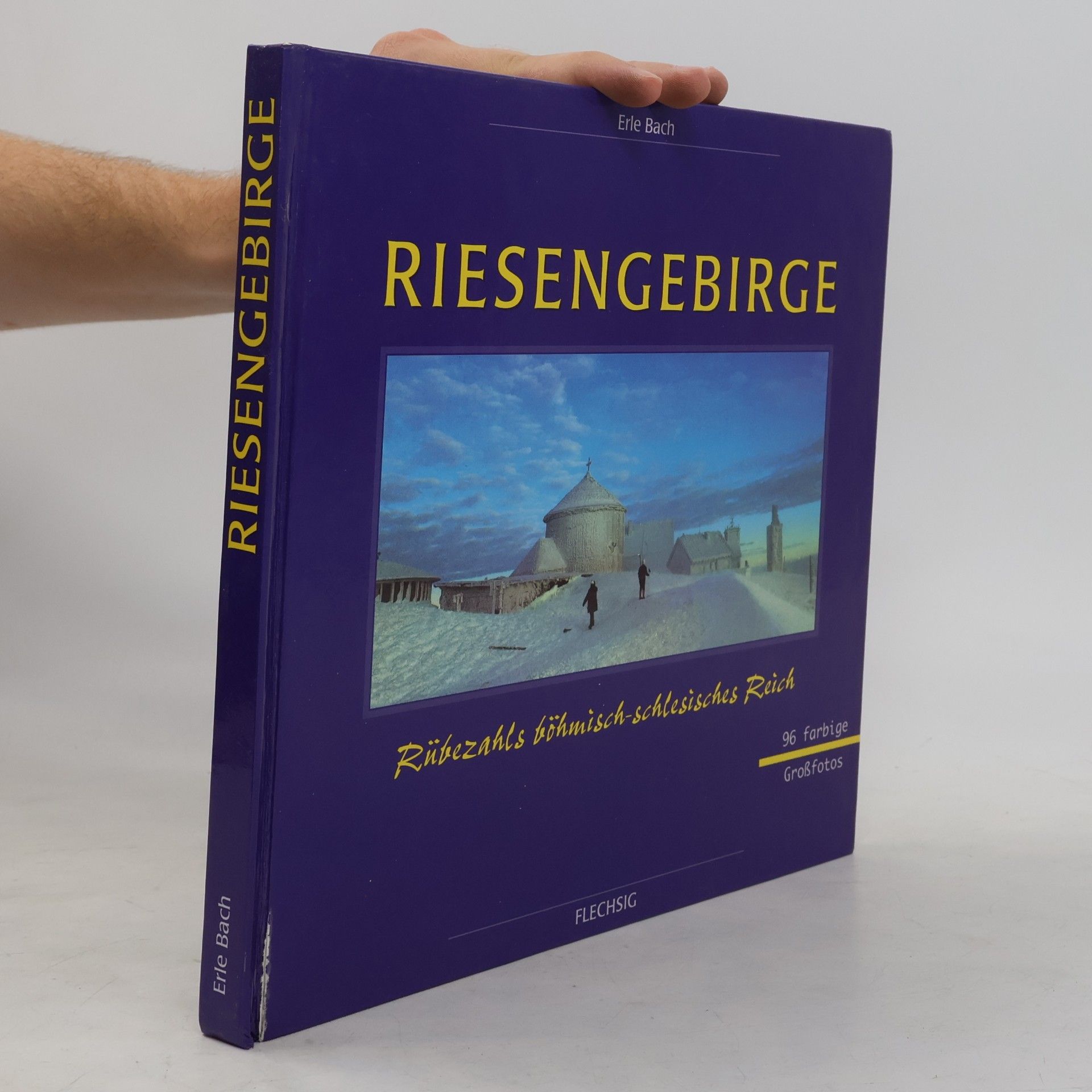 Erle Bach Riesengebirge