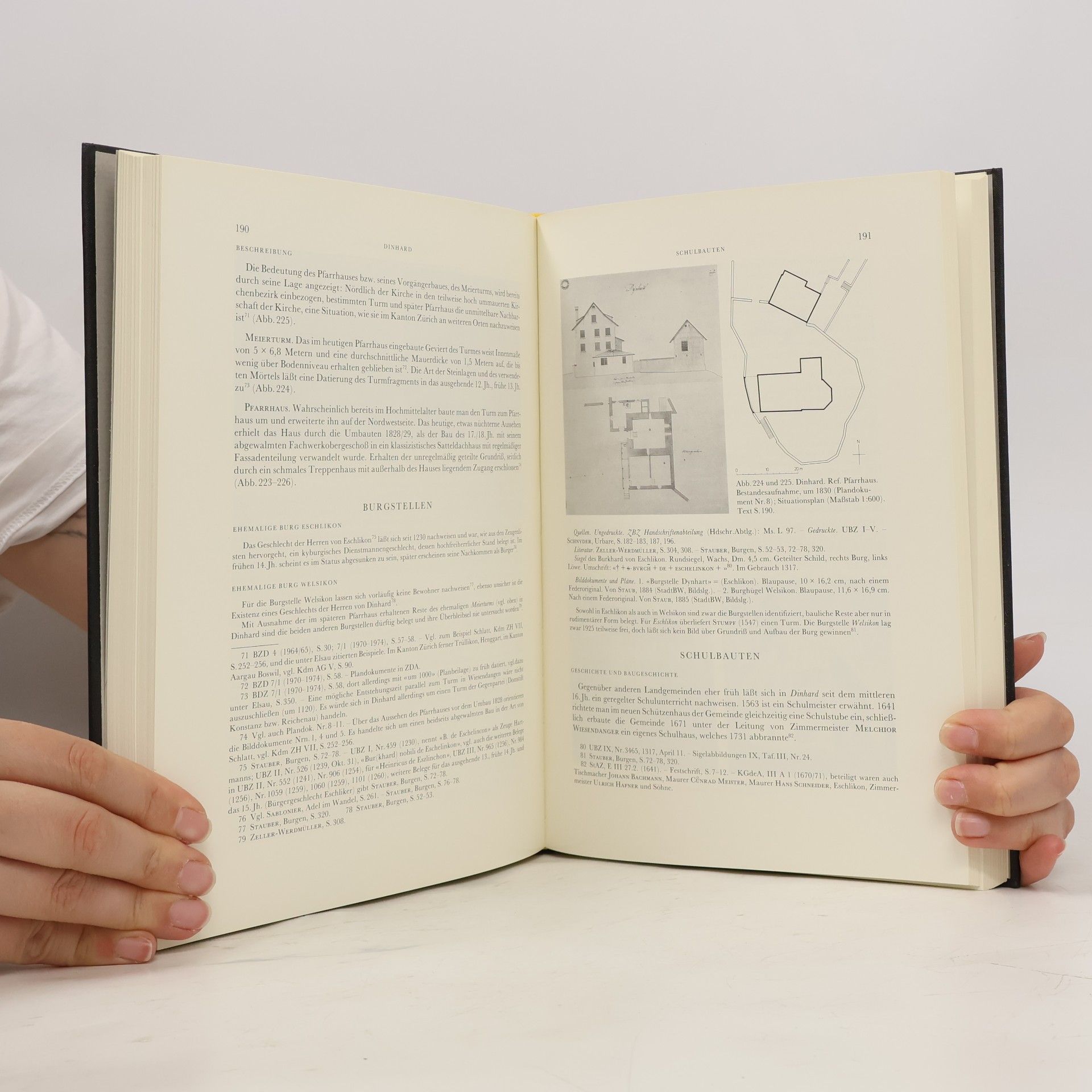 Hans Martin Gubler Die Kunstdenkmäler der Schweiz VIII