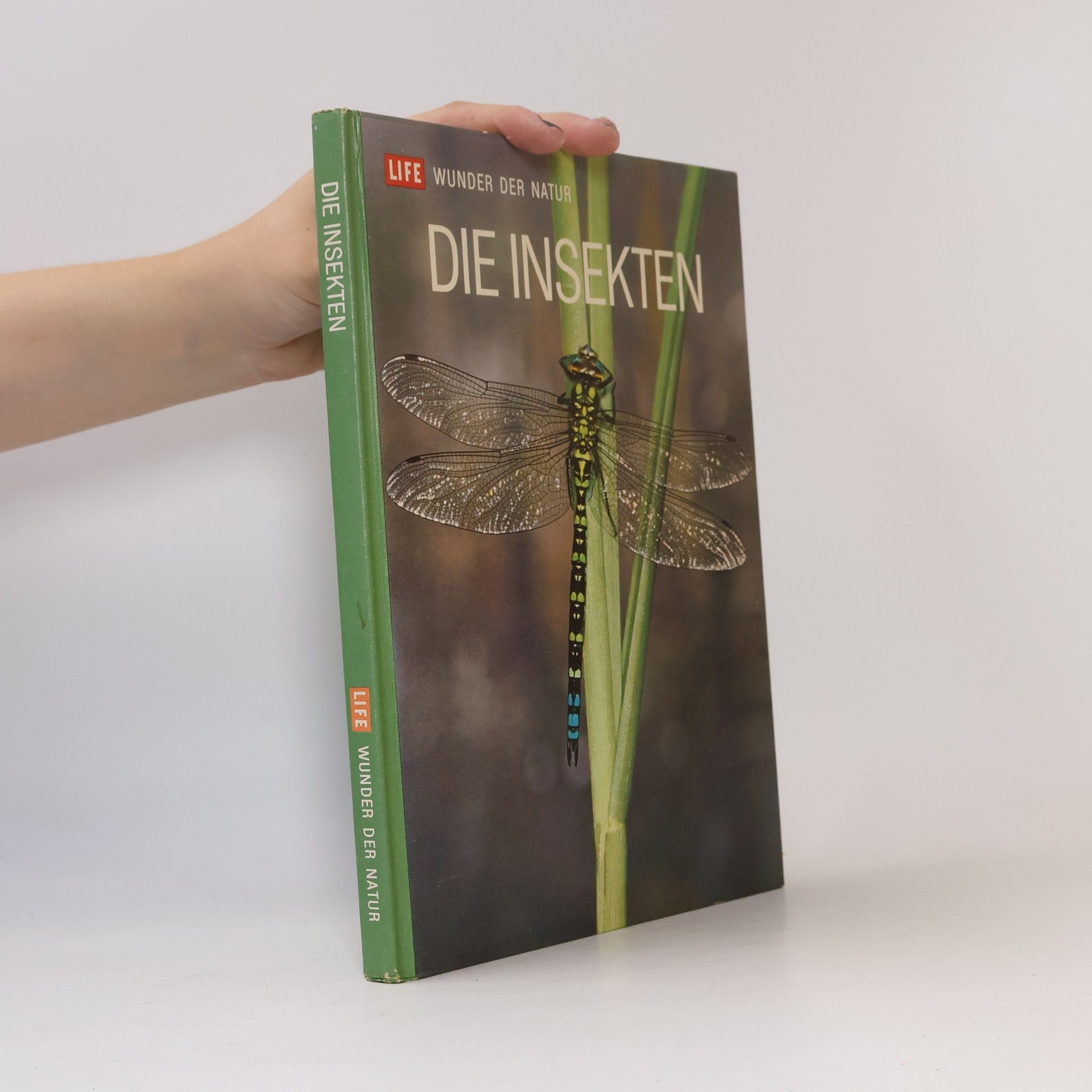 Kolektív autorov Die insekten