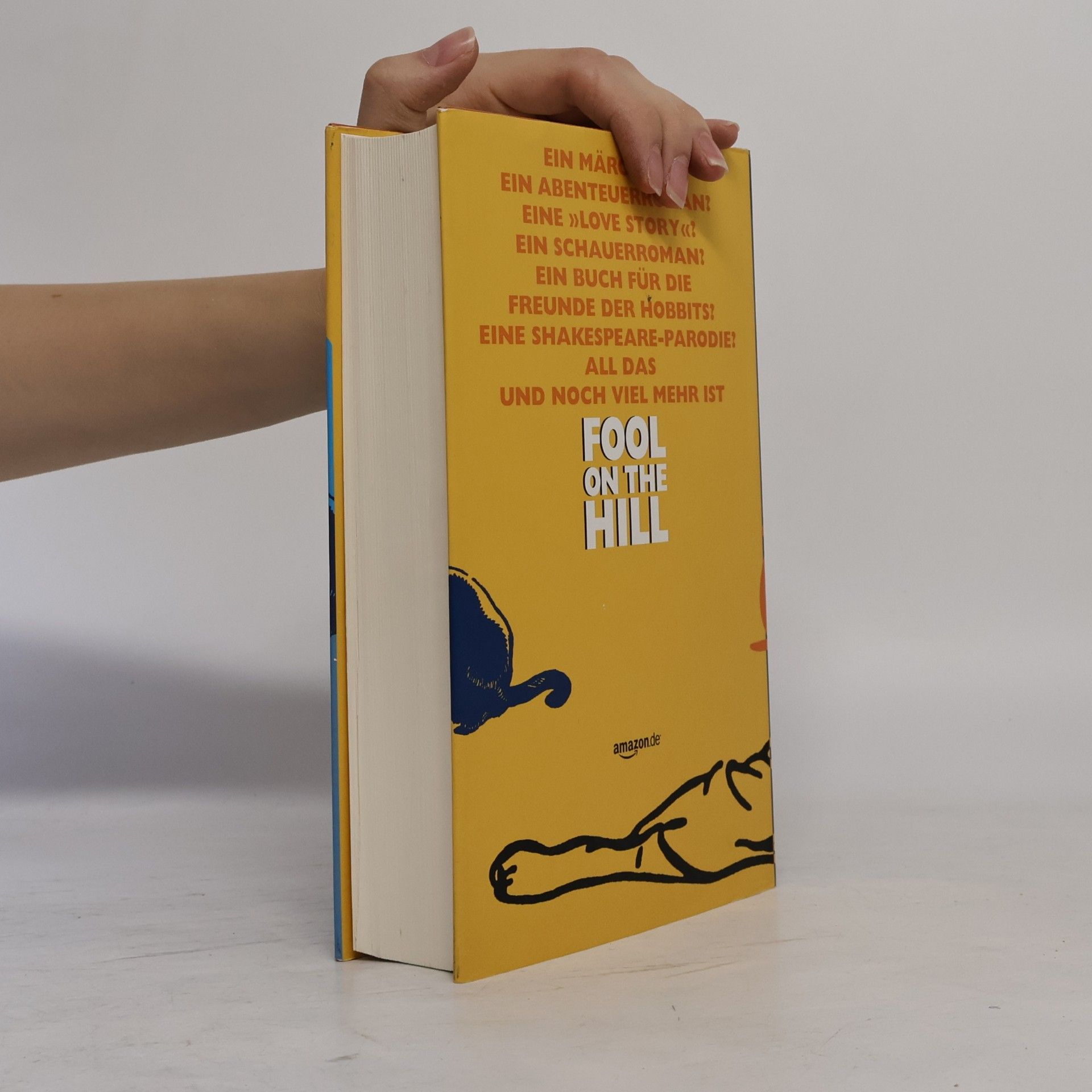 Matt Ruff Fool on the Hill. Amazon.de Sonderausgabe.