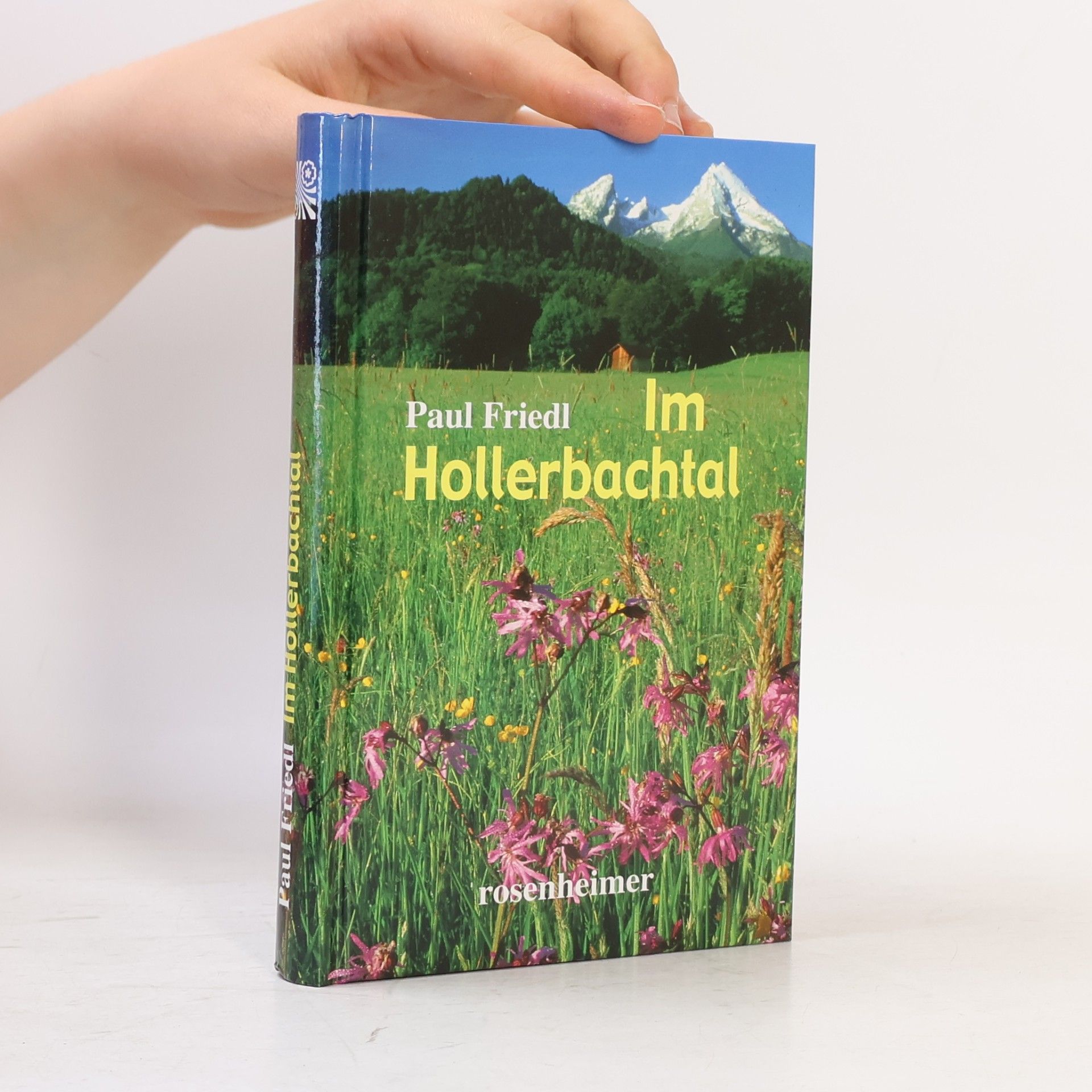 Paul Friedl Im Hollerbachtal