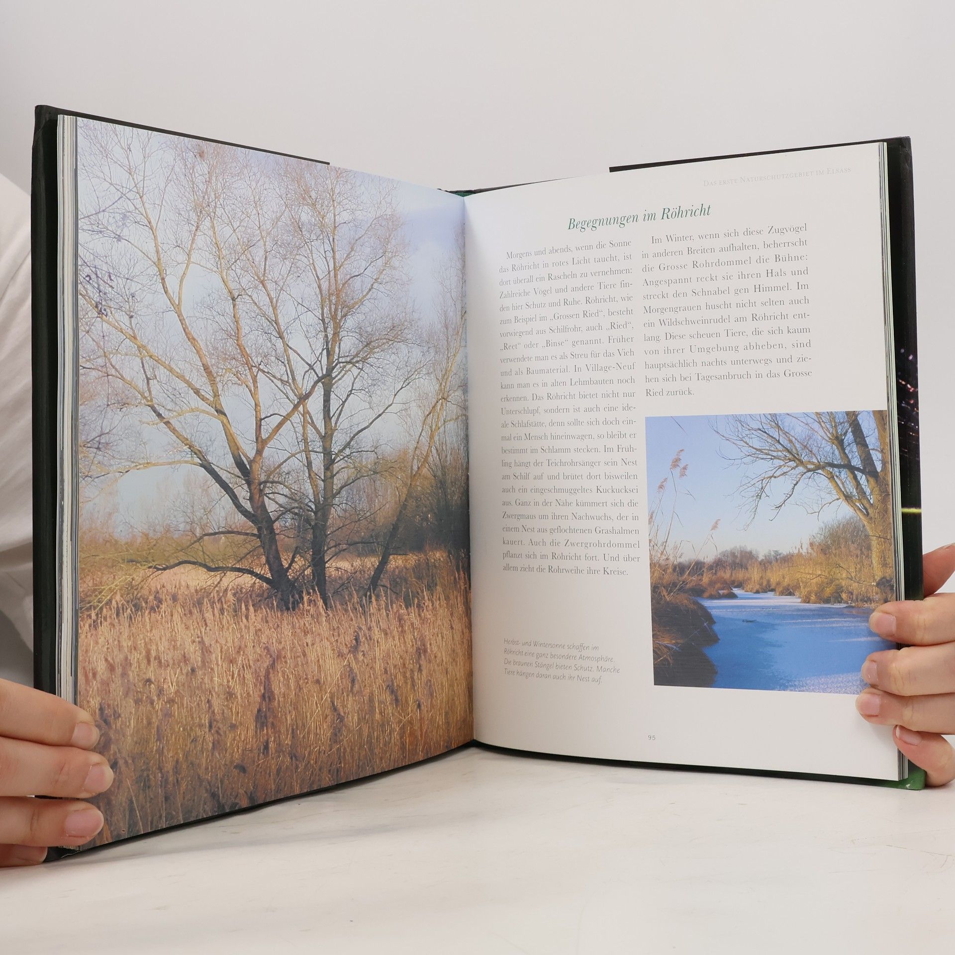 Aude Boissaye Petite camargue Alsacienne