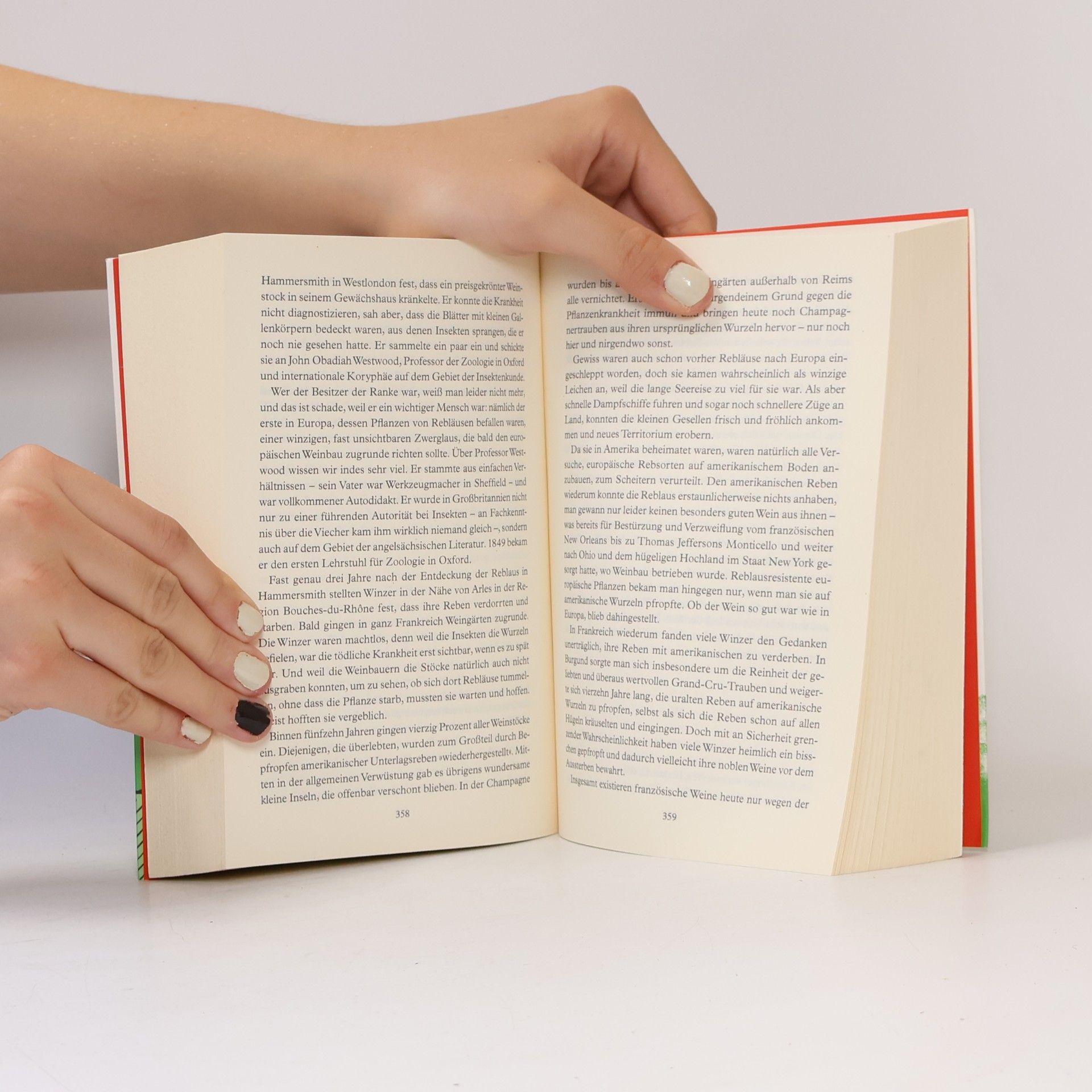 Bill Bryson Eine kurze Geschichte der alltäglichen Dinge