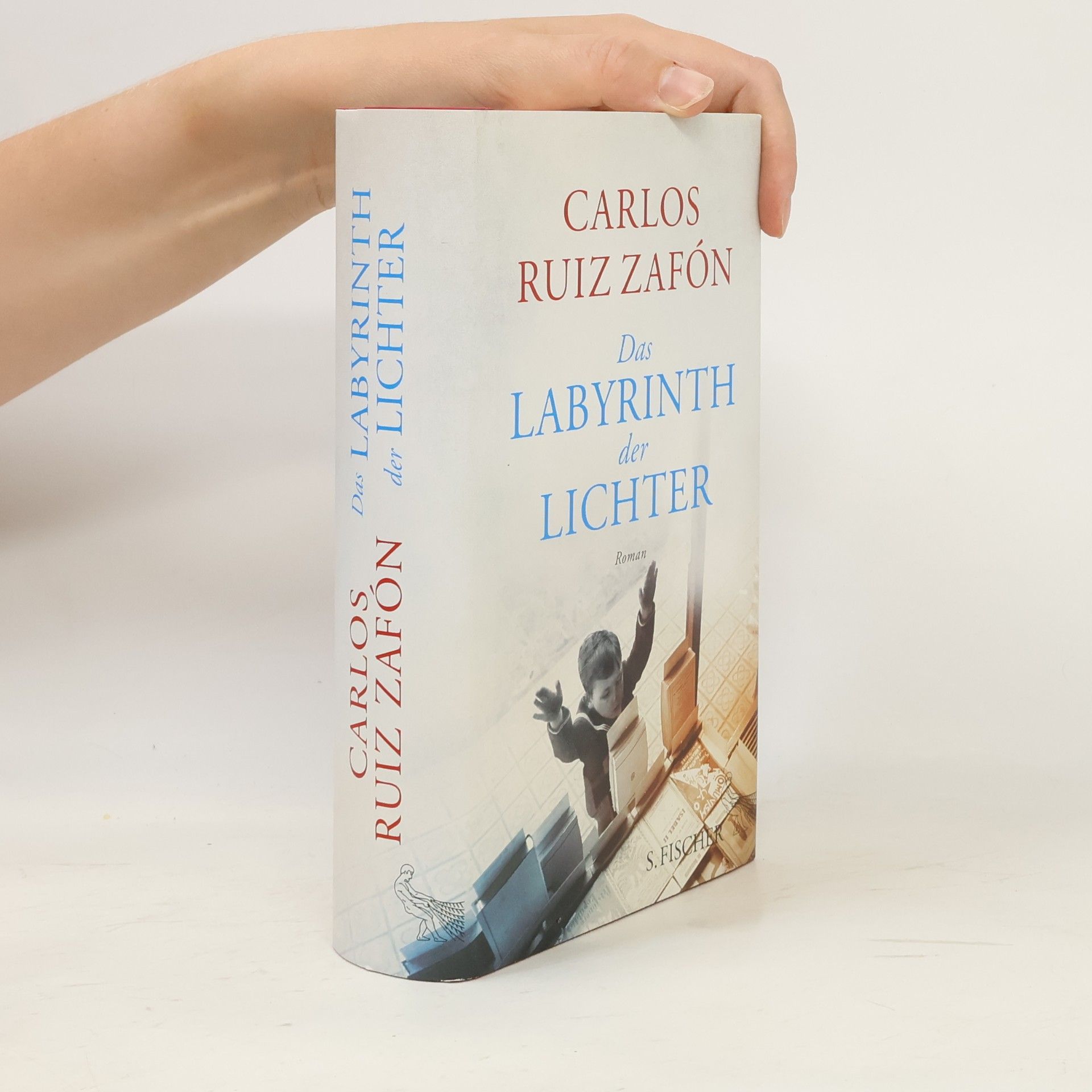 Carlos Ruiz Safon Das Labyrinth der Lichter