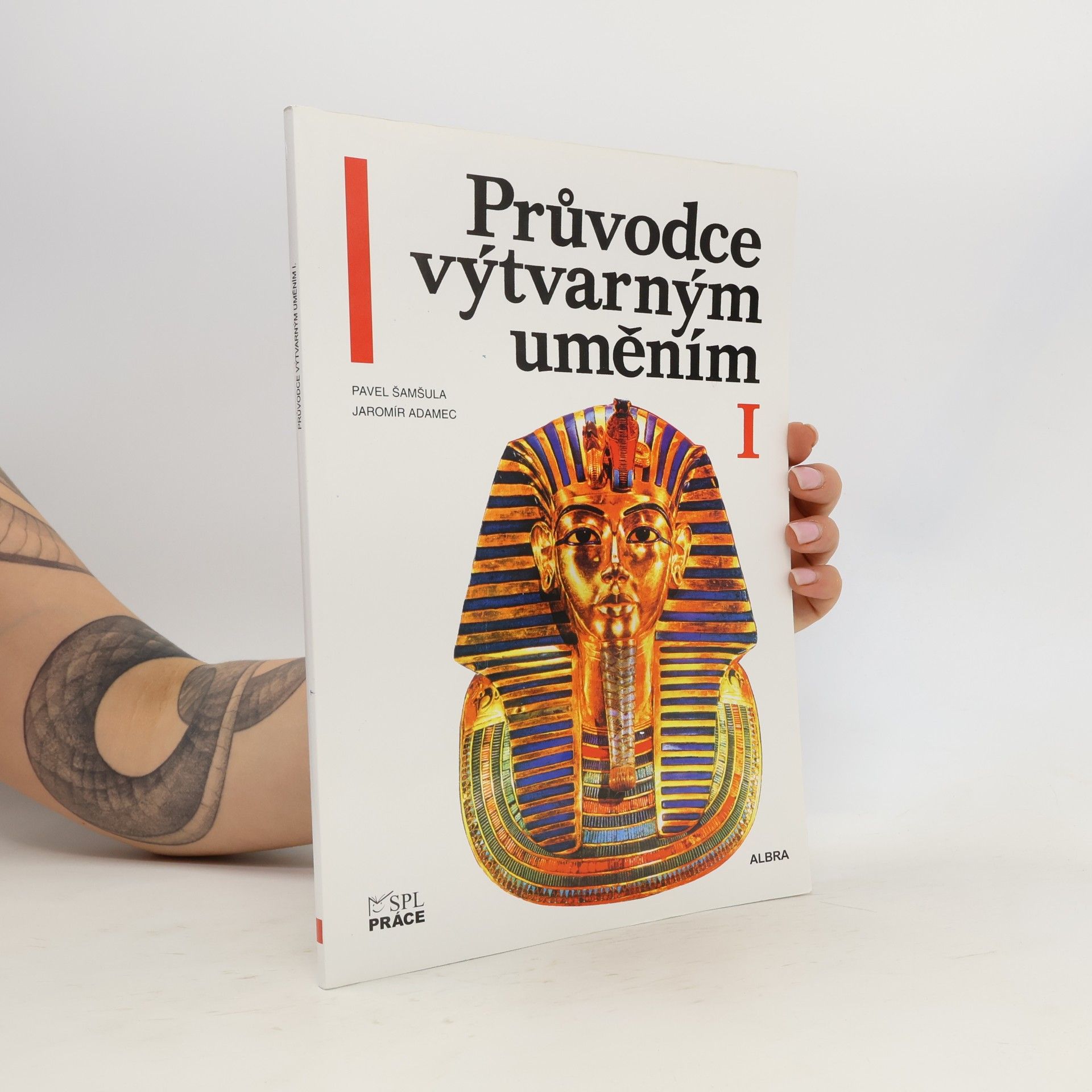 Pavel Šamšula Průvodce výtvarným uměním (1. díl)
