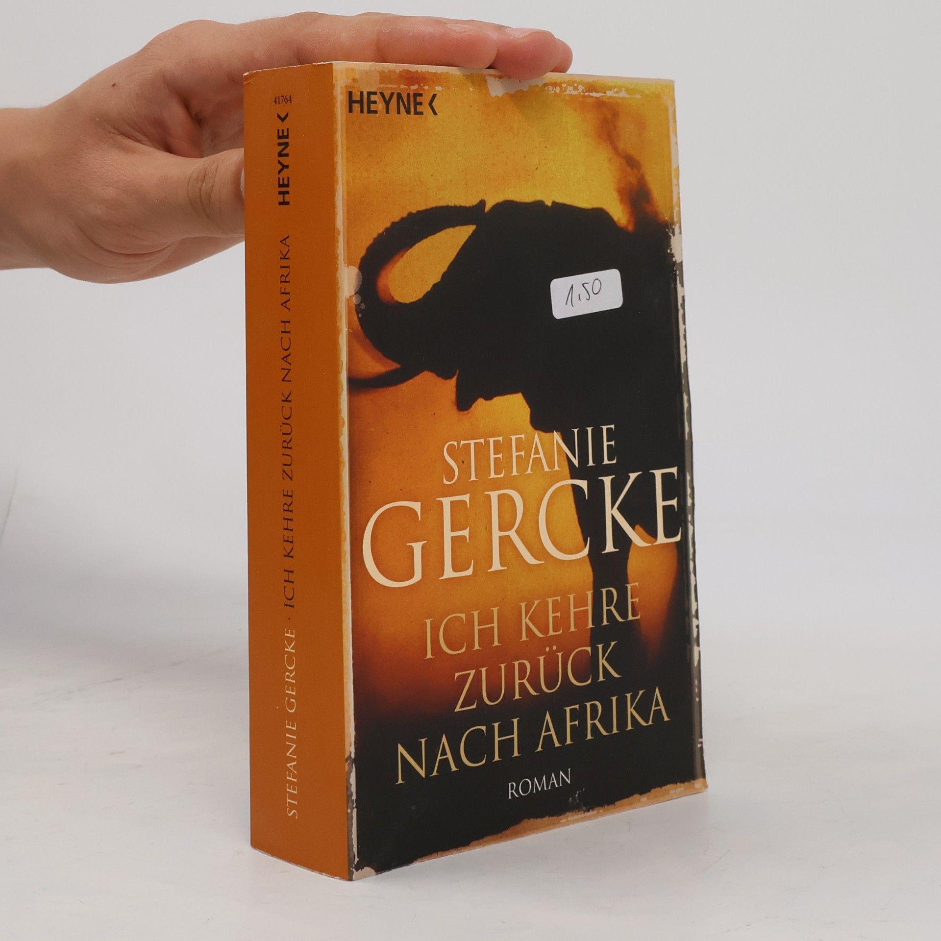 Stefanie Gercke Ich kehre zurück nach Afrika