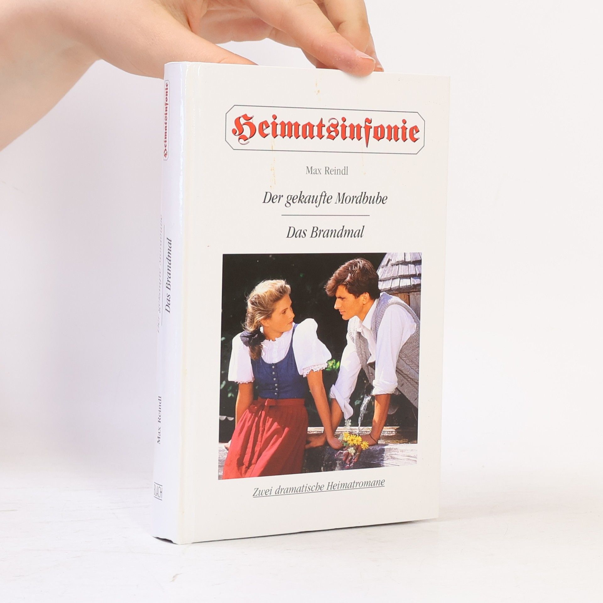 Der gekaufte Mordbube