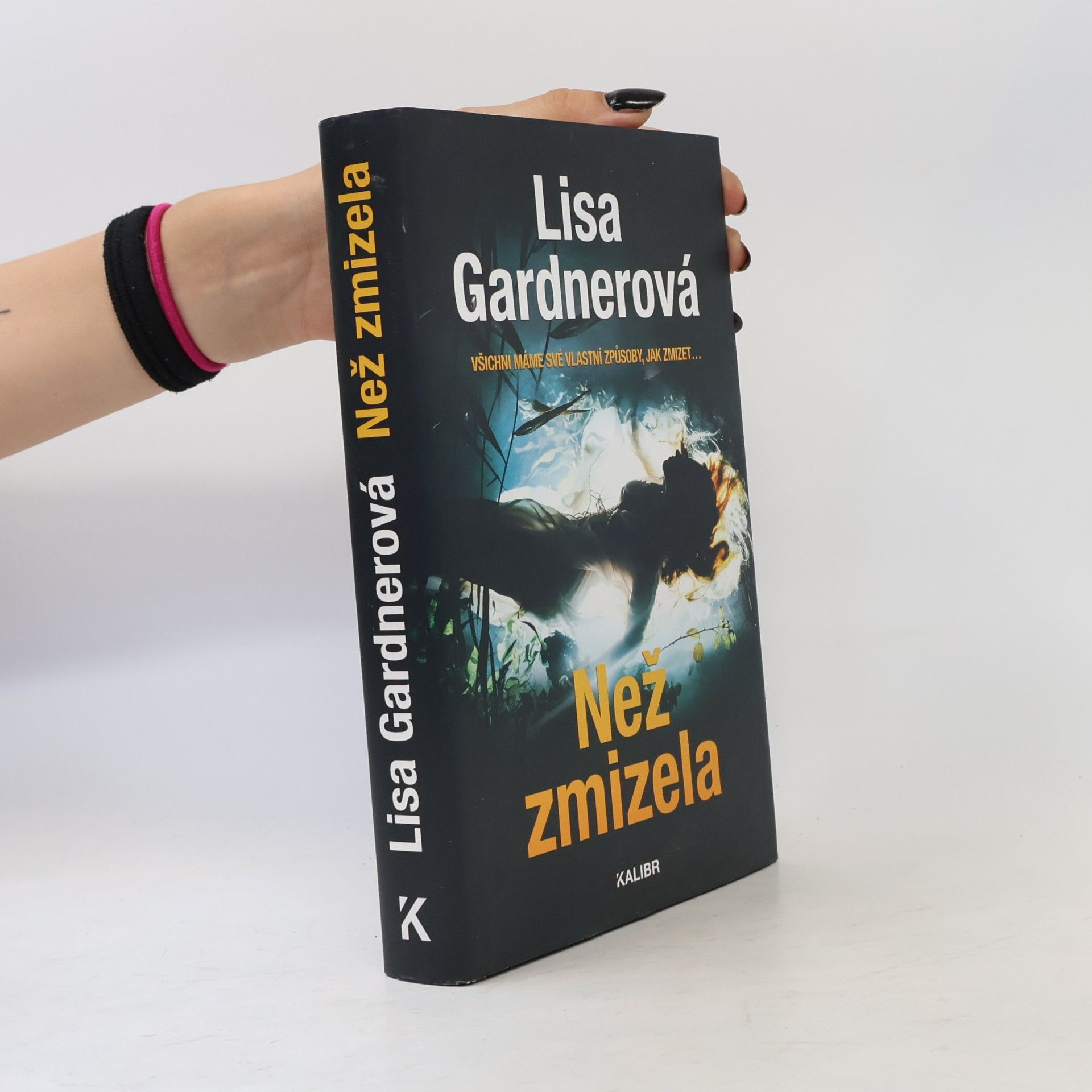 Lisa Gardner Než zmizela
