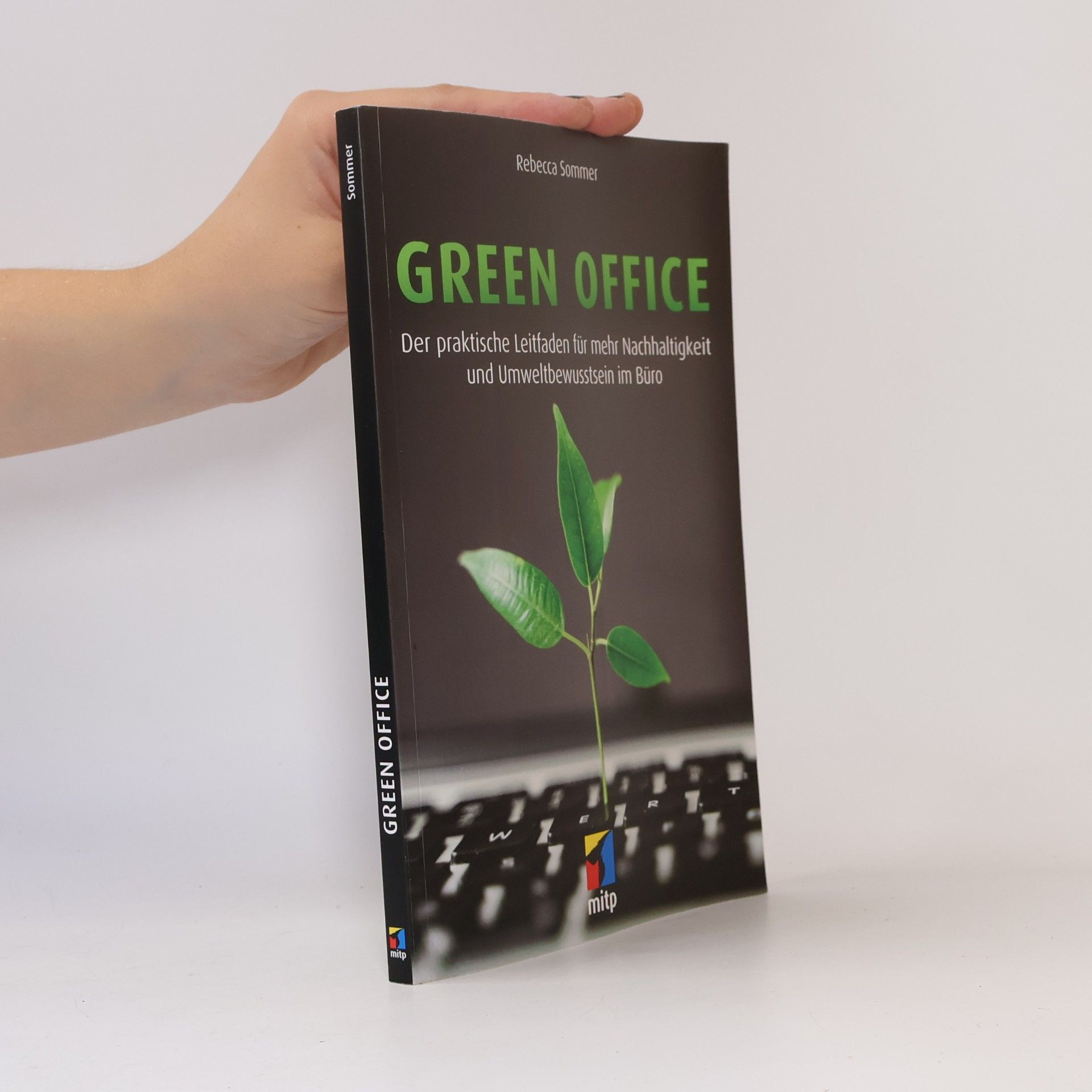 Rebecca Sommer Green office