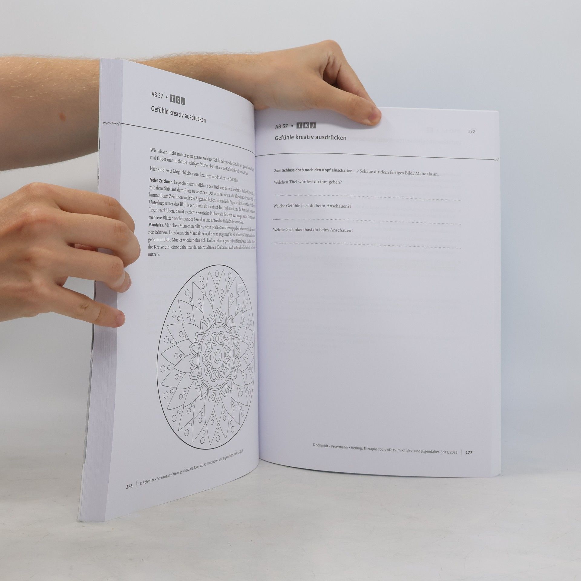 Qaali Schmidt-Sørensen Therapie-Tools ADHS im Kindes- und Jugendalter: Mit E-Book inside inkl. Arbeitsmaterial (Beltz Therapie-Tools)