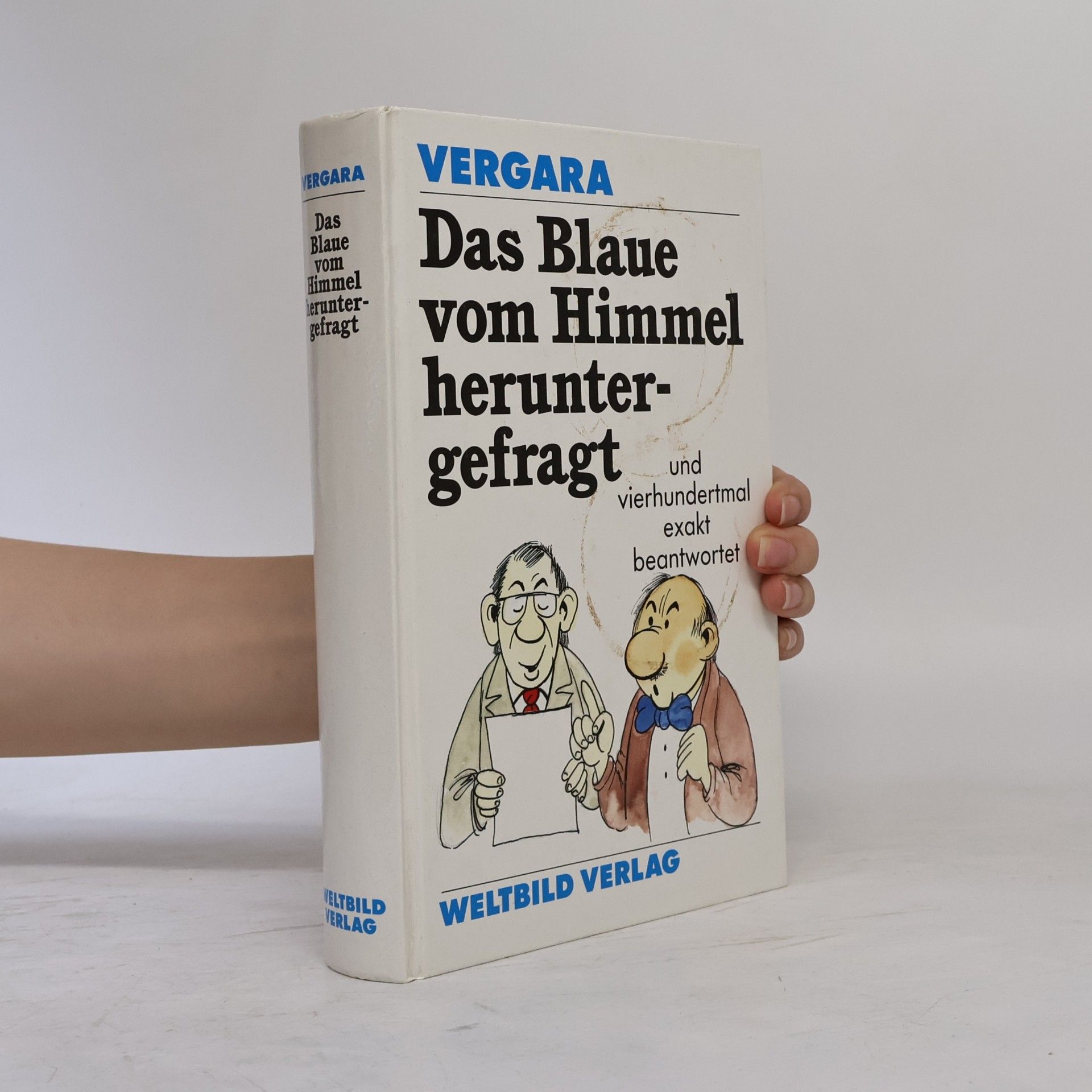 William C. Vergara Das Blaue vom Himmel heruntergefragt