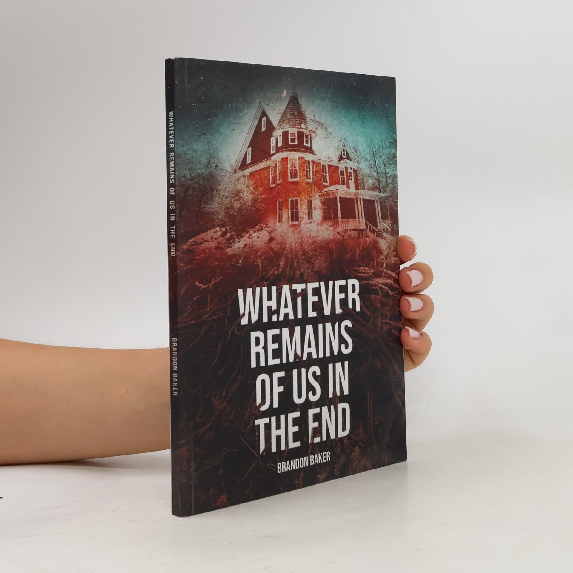 Brandon Baker Whatever Remains Of Us In The End