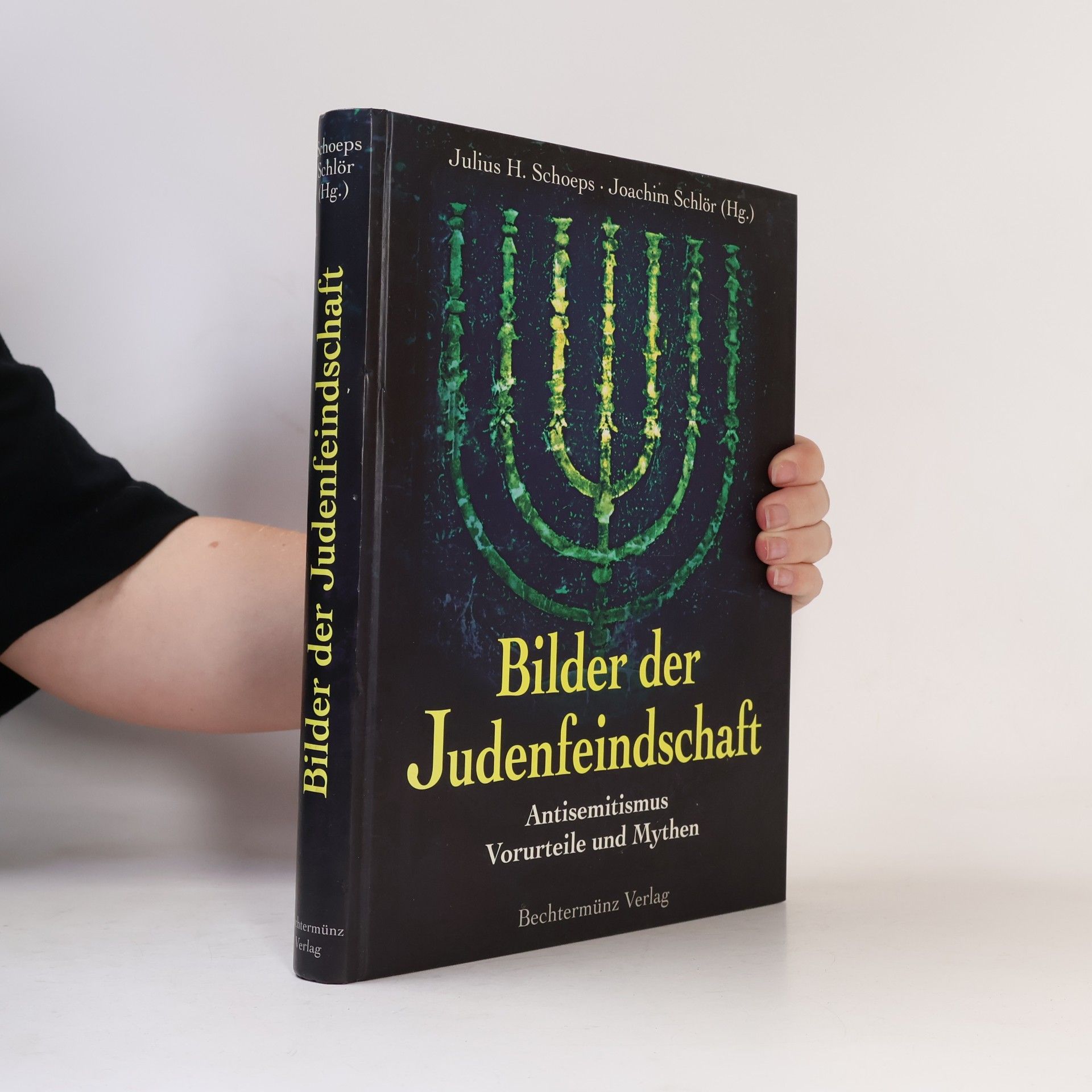Julius H. Schoeps Bilder der Judenfeindschaft