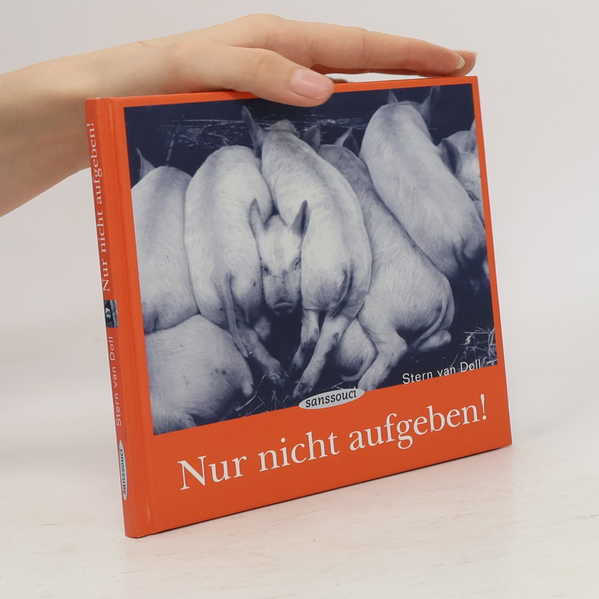 Stern van Doll Nur nicht aufgeben!