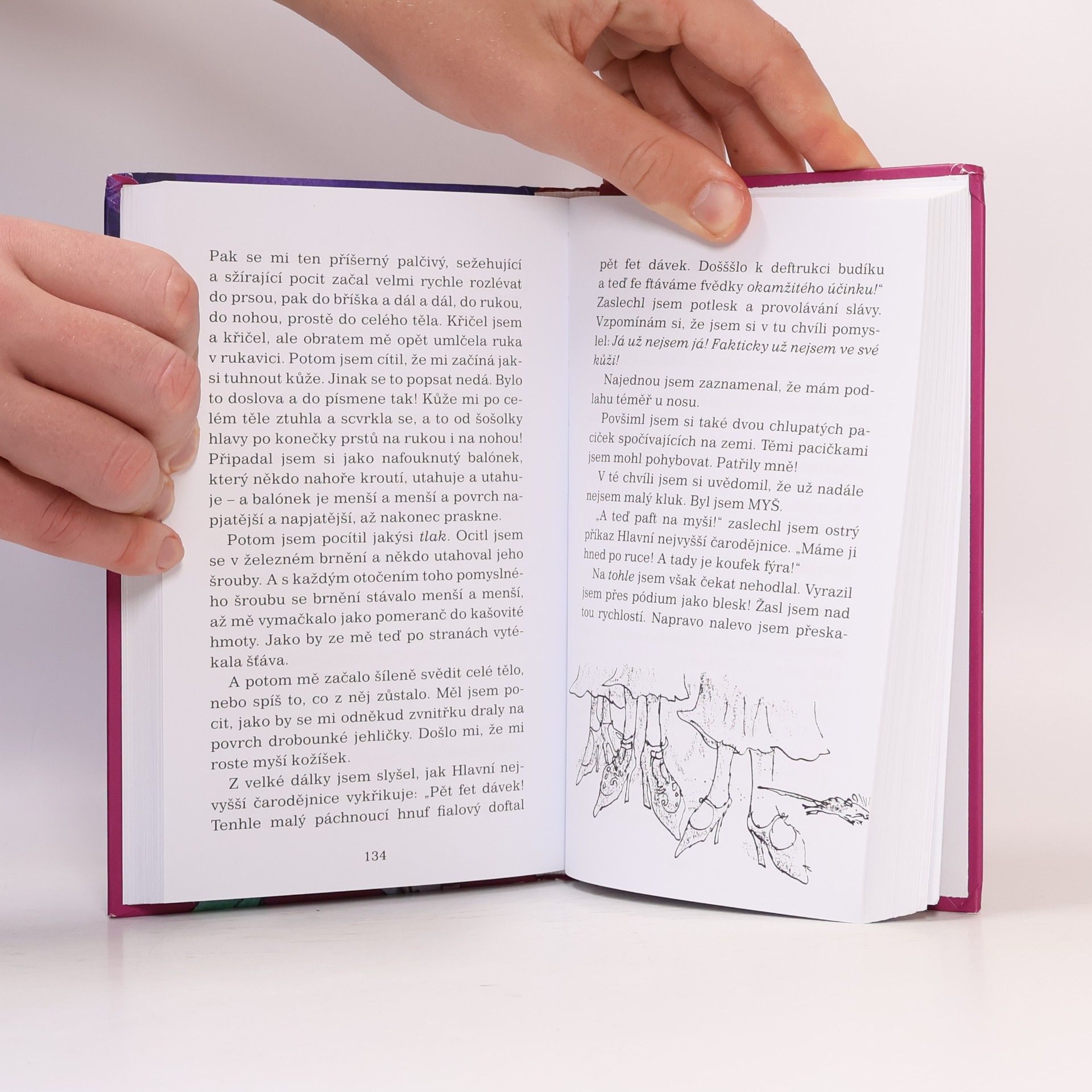 Roald Dahl Čarodějnice