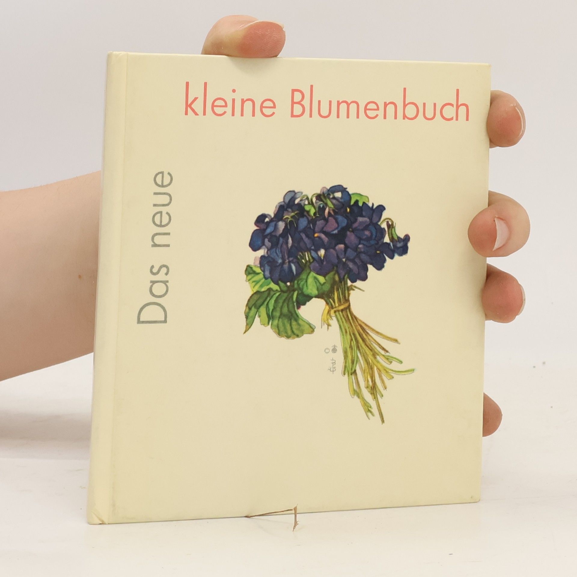 Kolektiv autorů Das neue kleine Blumenbuch