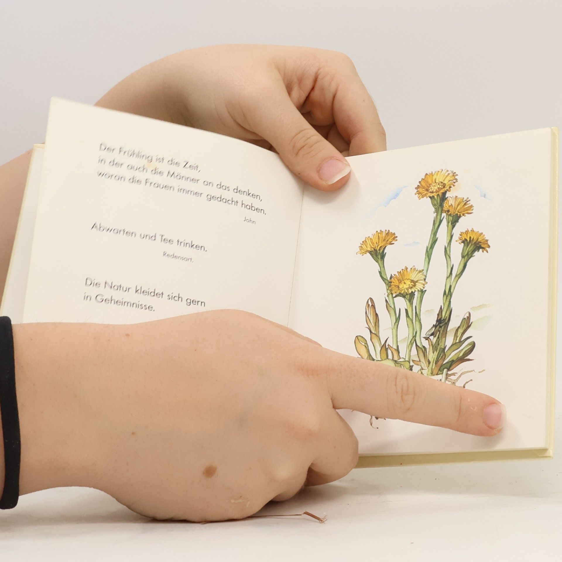 Kolektiv autorů Das neue kleine Blumenbuch