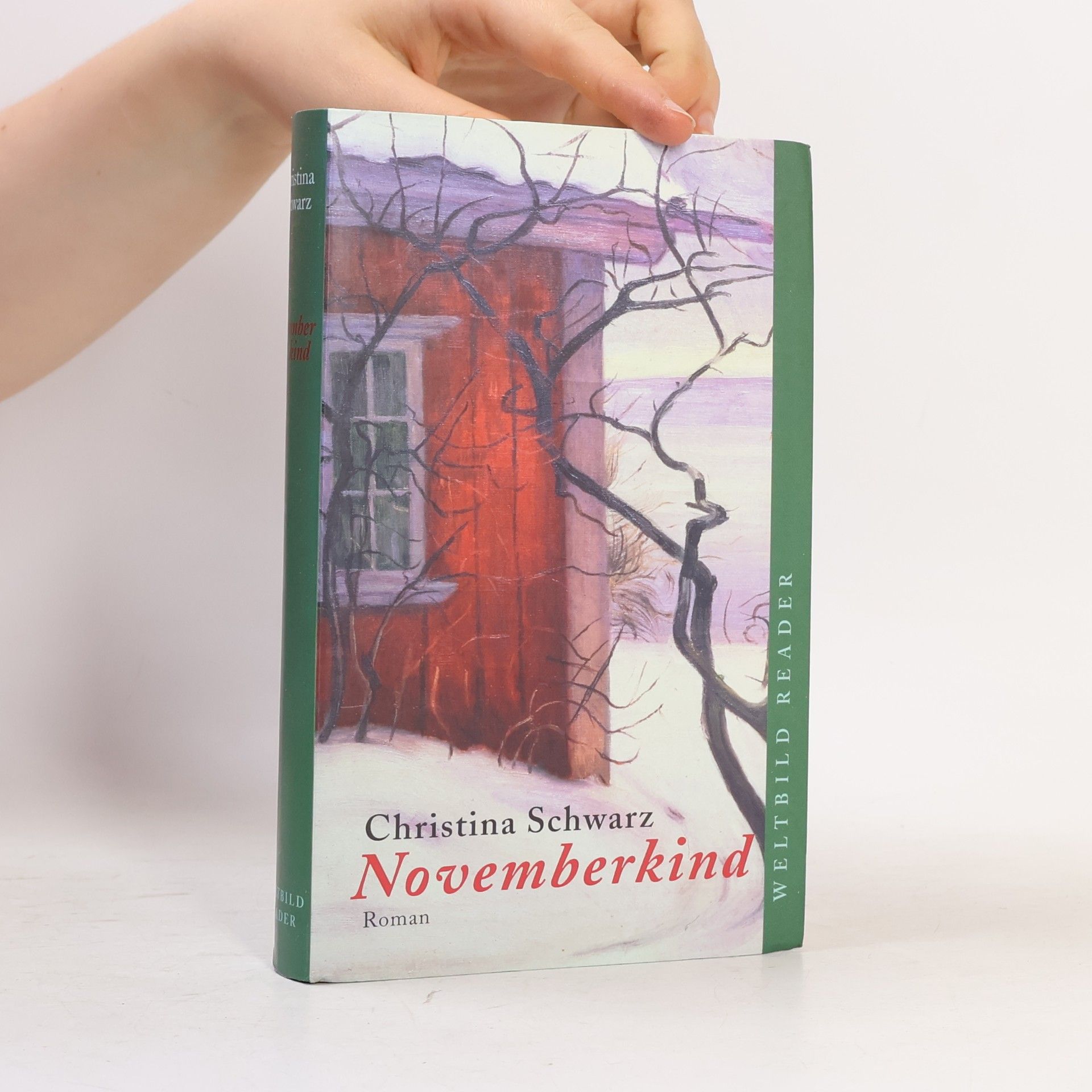Christina Schwarz Novemberkind