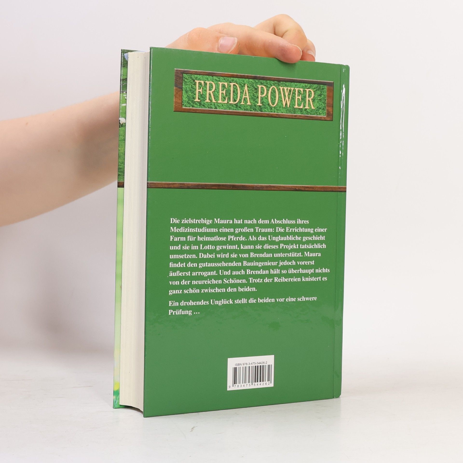 Freda Power Am goldenen Ende des Regenbogens
