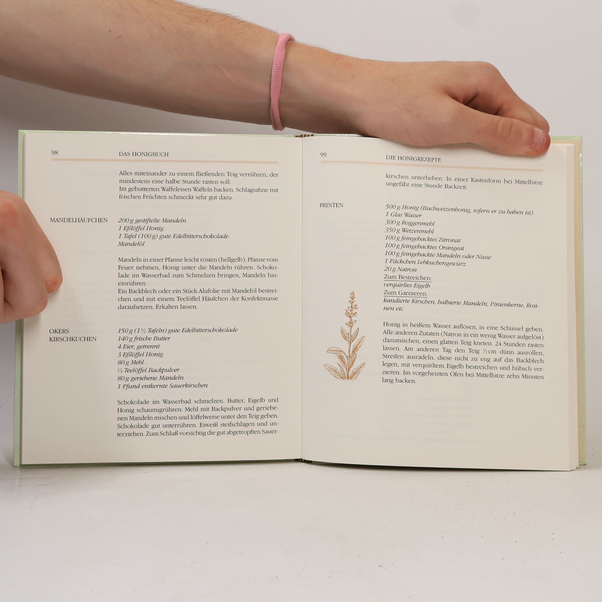 Ilse Neunzig Das Honigbuch