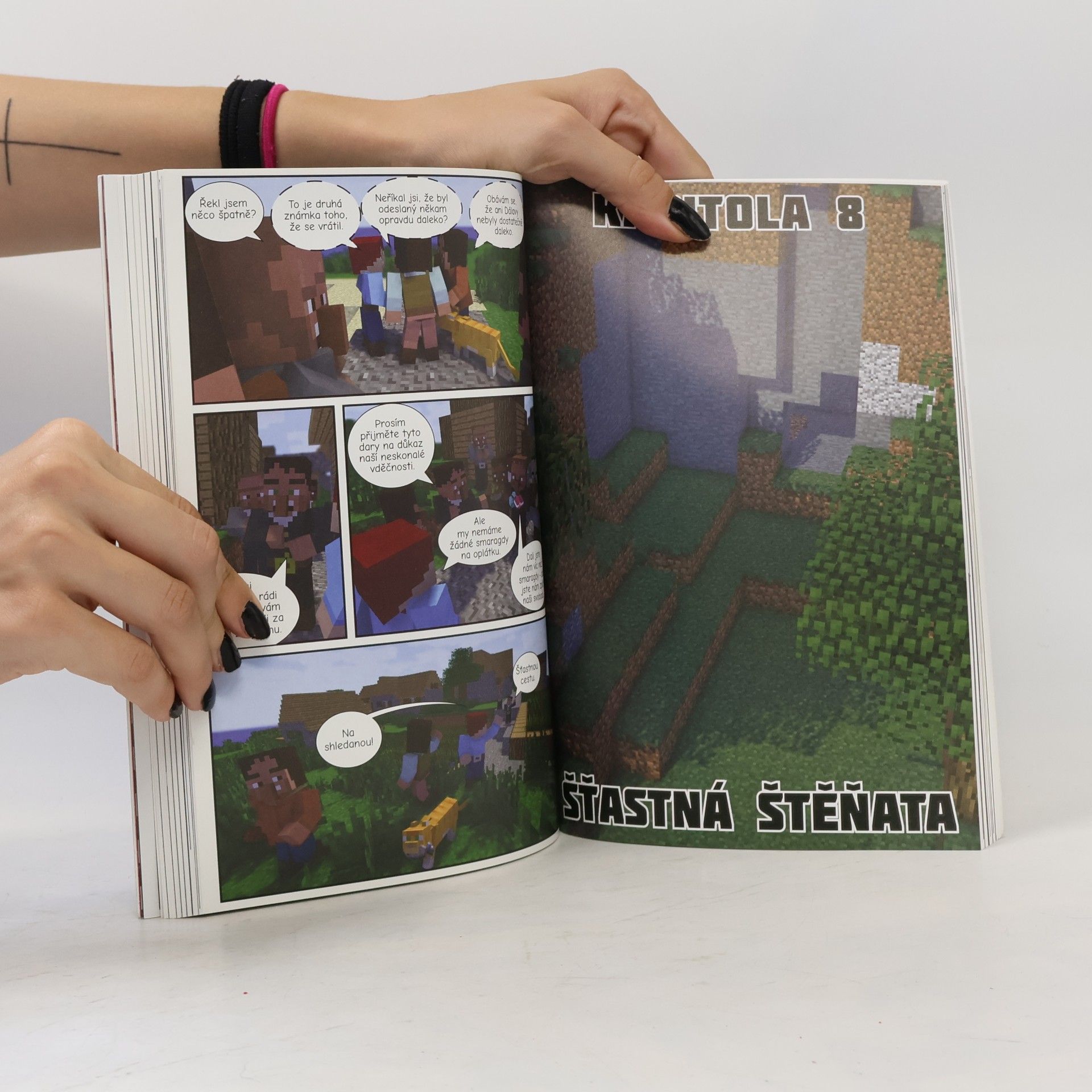 Cara J. Stevens Bitva o dračí chrám: Neoficiální megakomiks ze světa Minecraftu 4