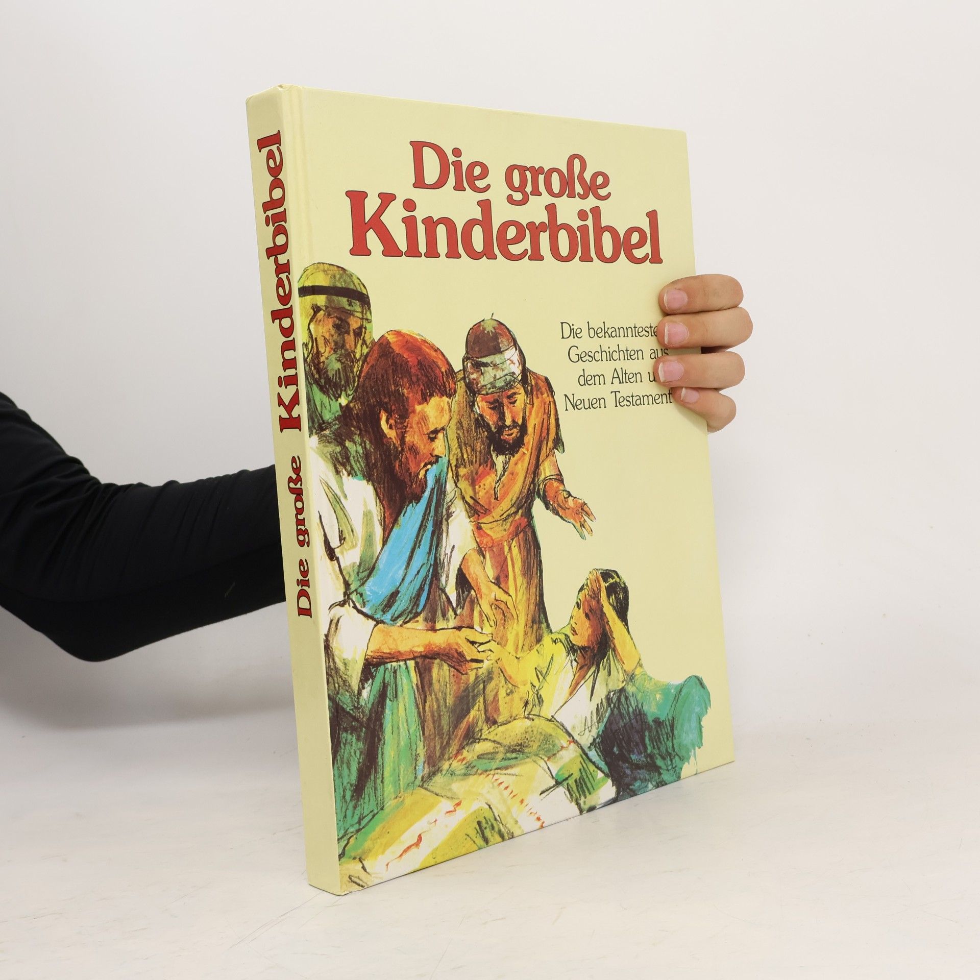 Various authors Die große Kinderbibel