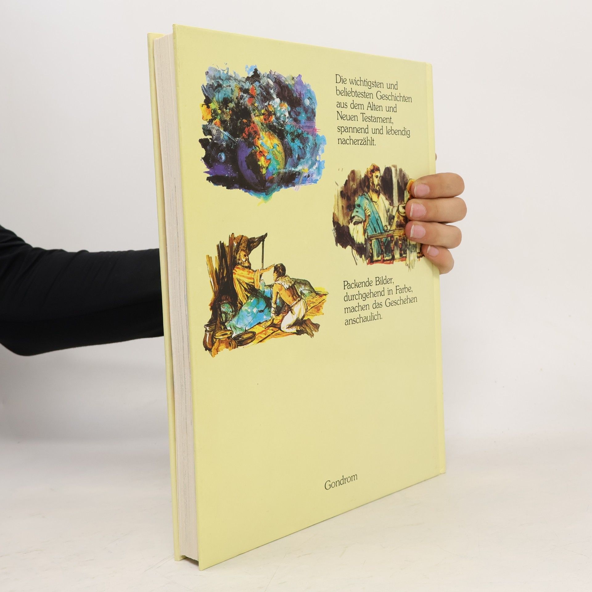 Various authors Die große Kinderbibel