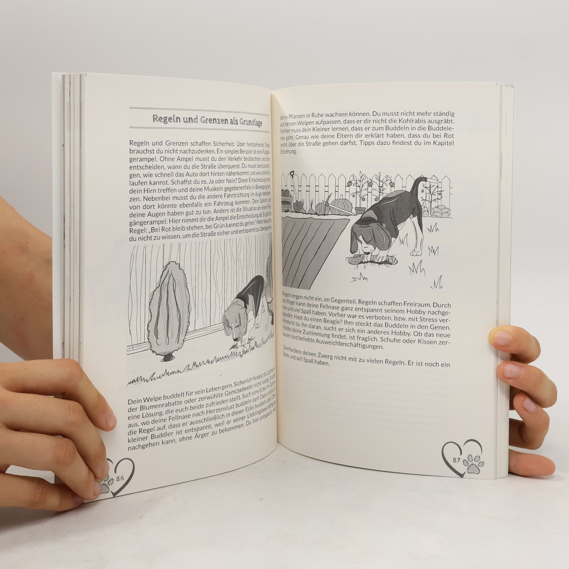 Benita Sommerfeldt Das Welpen-Versteh-Buch: liebevolle und konsequente Welpenerziehung für entspannten Alltag und vertrauensvolle Bindung. Speziell für deinen ersten Hund!