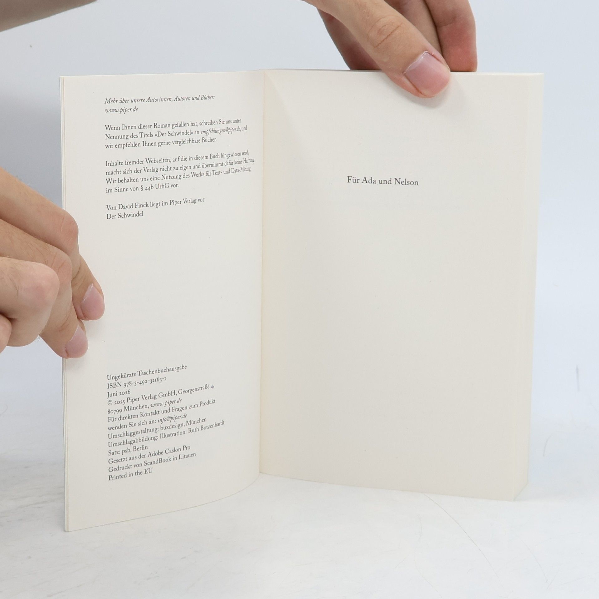 David Finck Der Schwindel