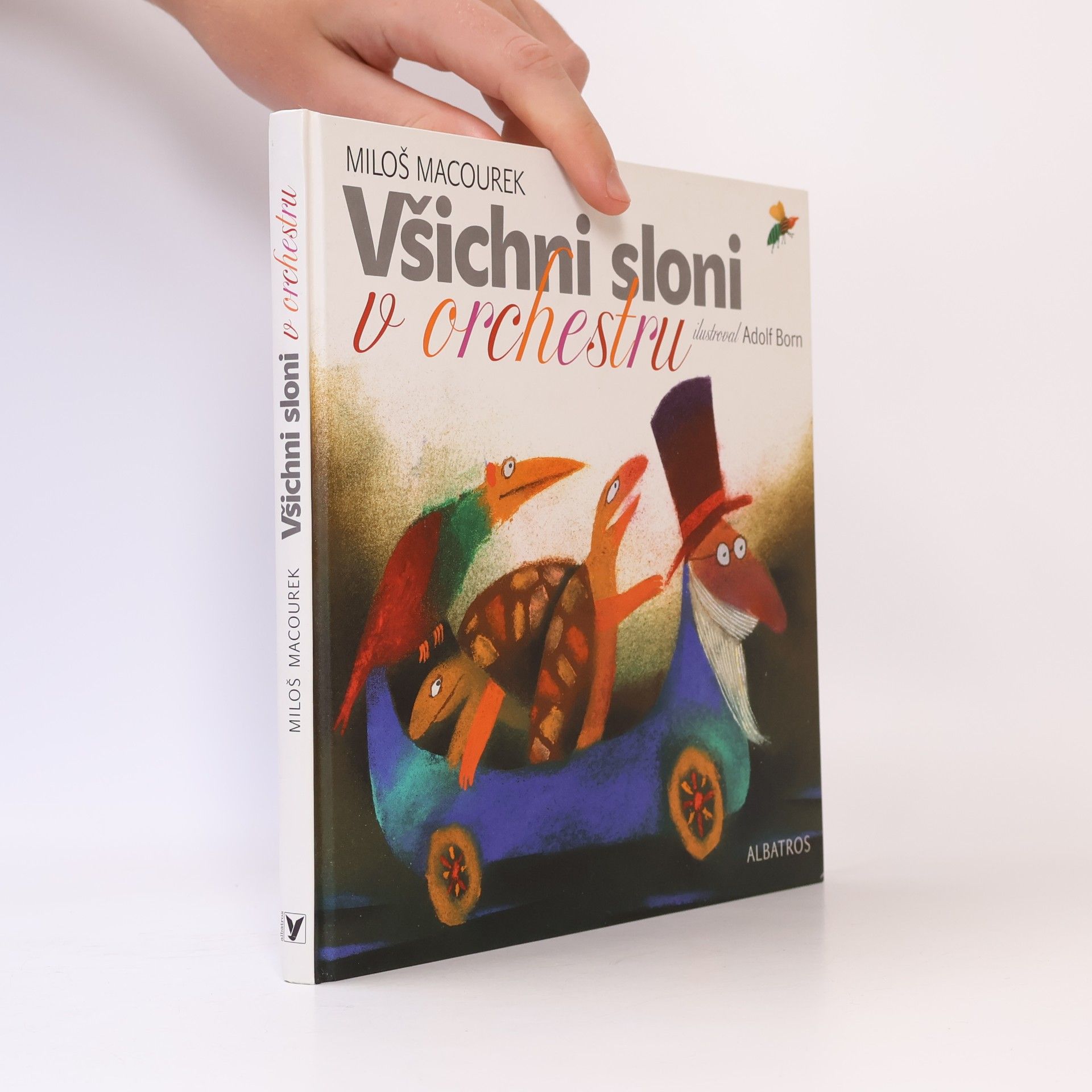 Všichni sloni v orchestru