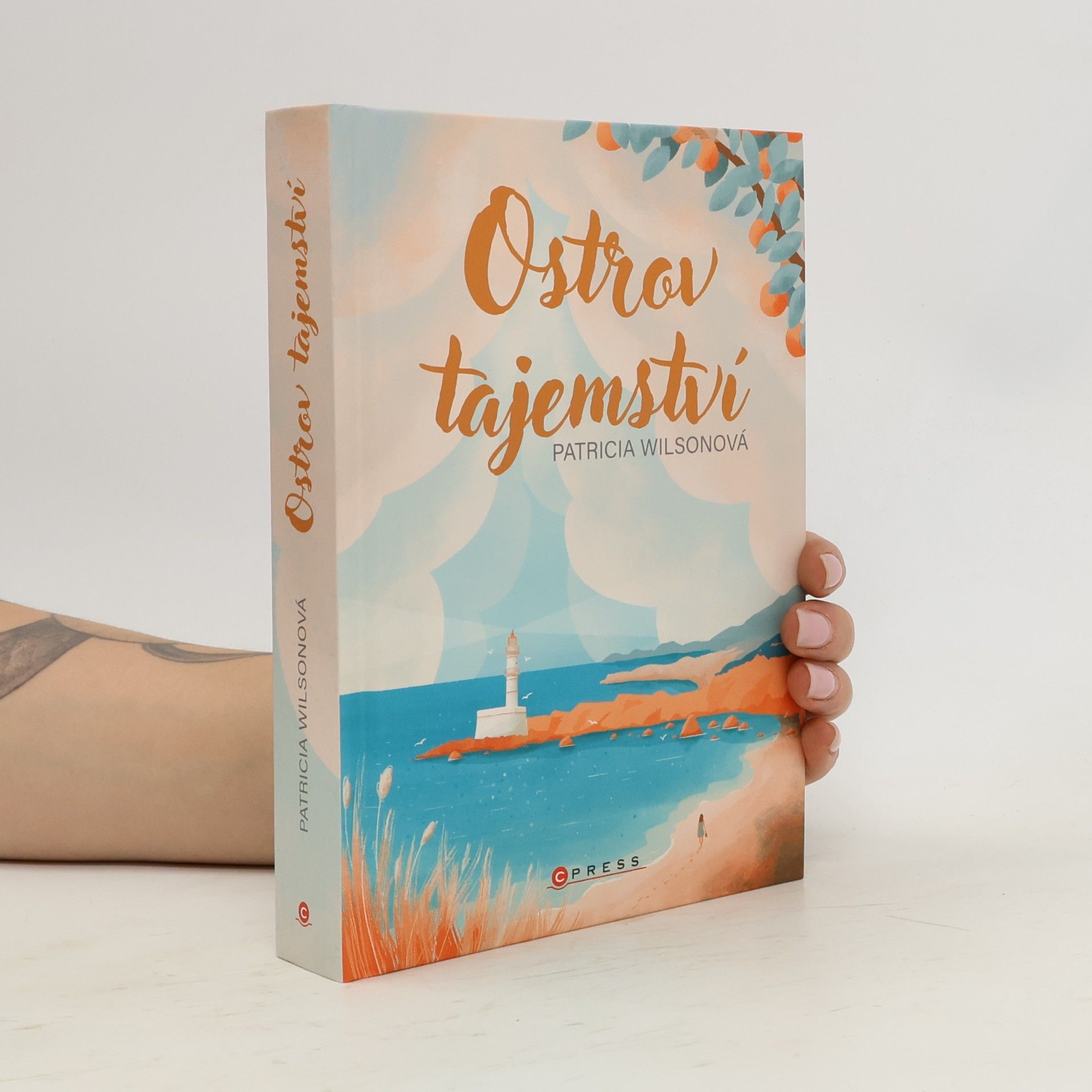 Patricia Wilson Ostrov tajemství
