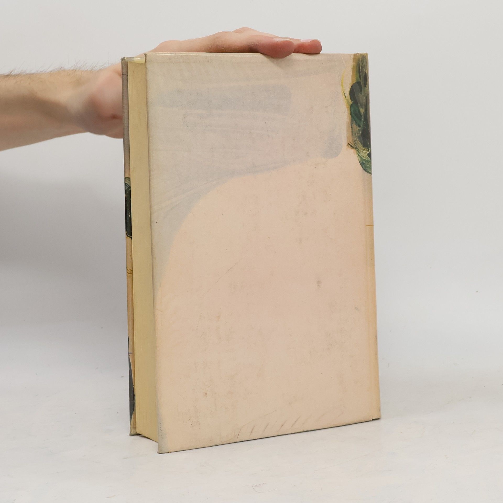 Agnes Turnbull Die stärkere macht