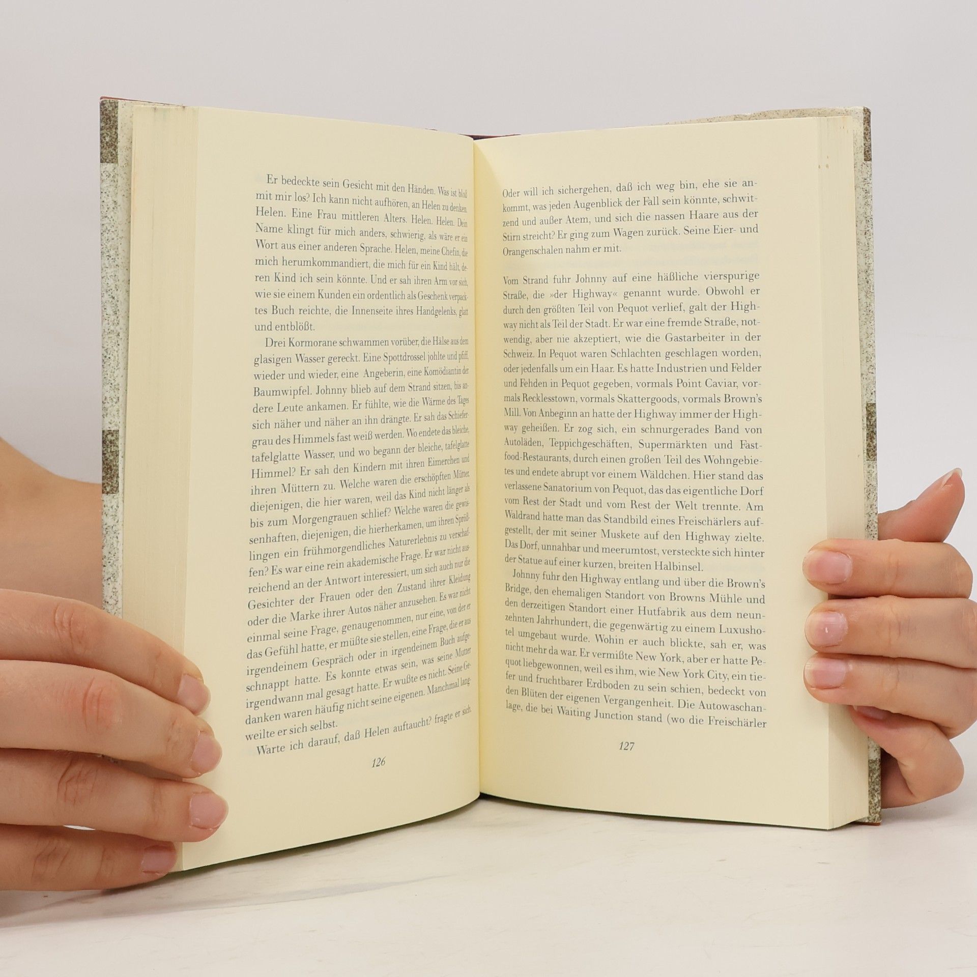 Cathleen Schine Der Liebesbrief