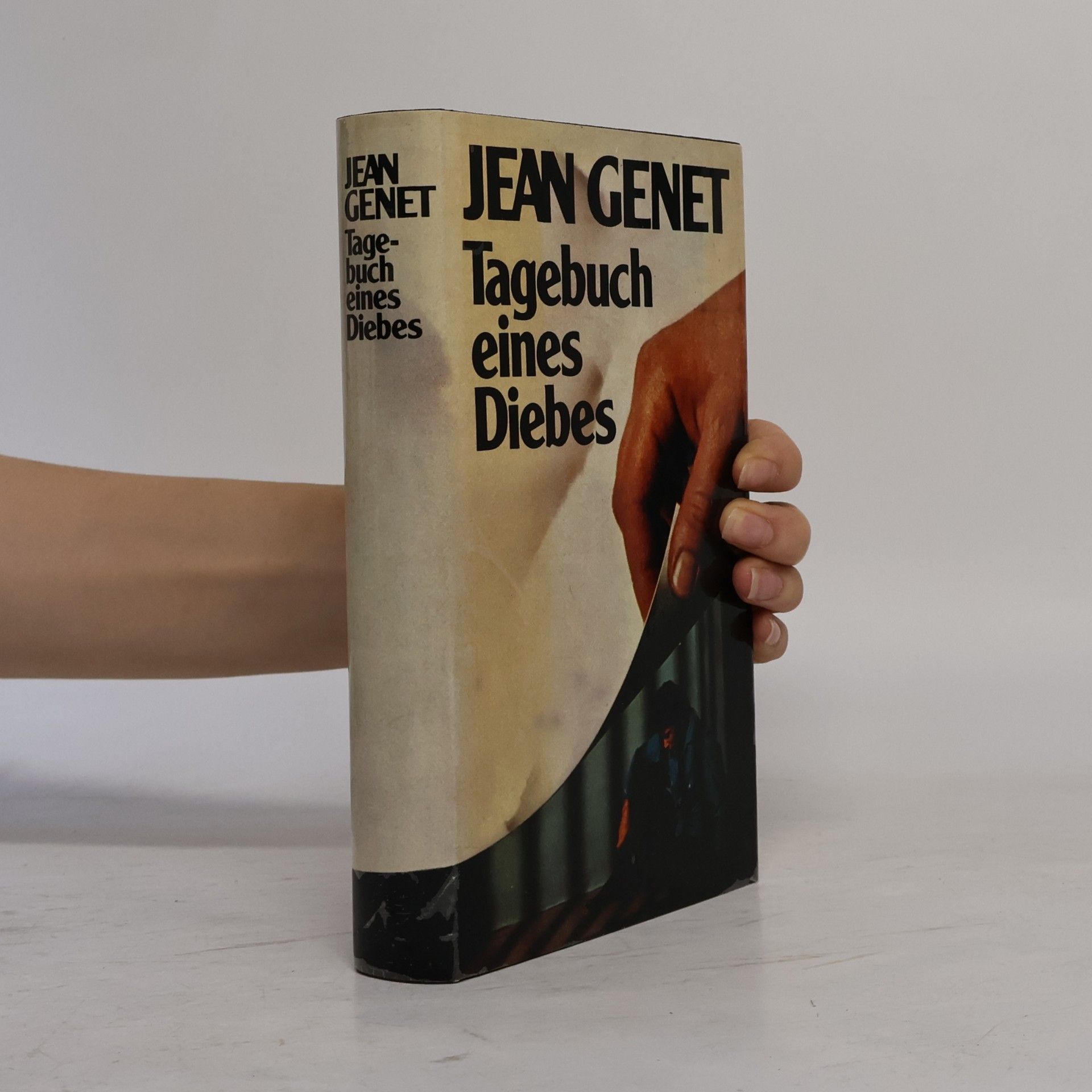 Jean Genet Tagebuch eines Diebes