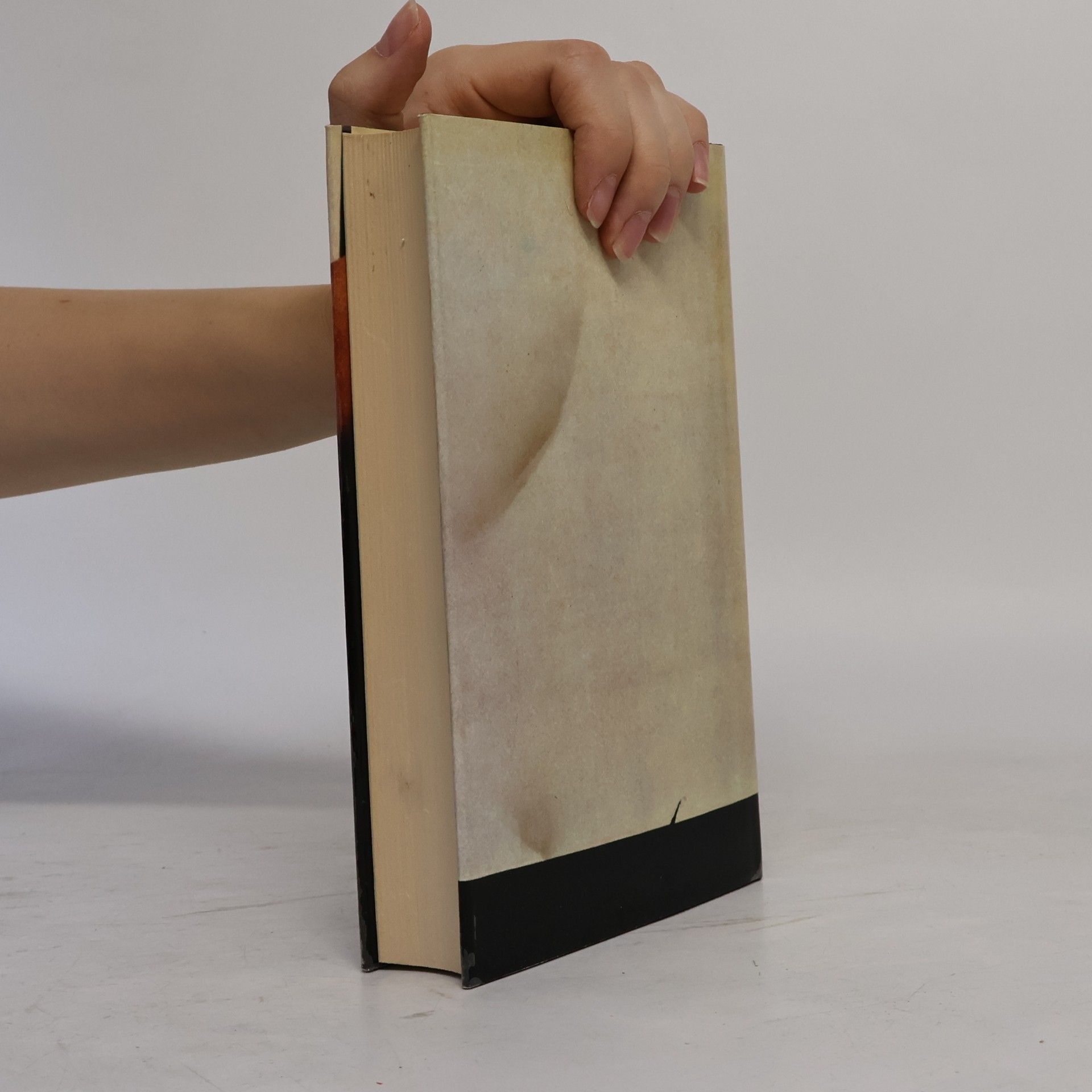 Jean Genet Tagebuch eines Diebes