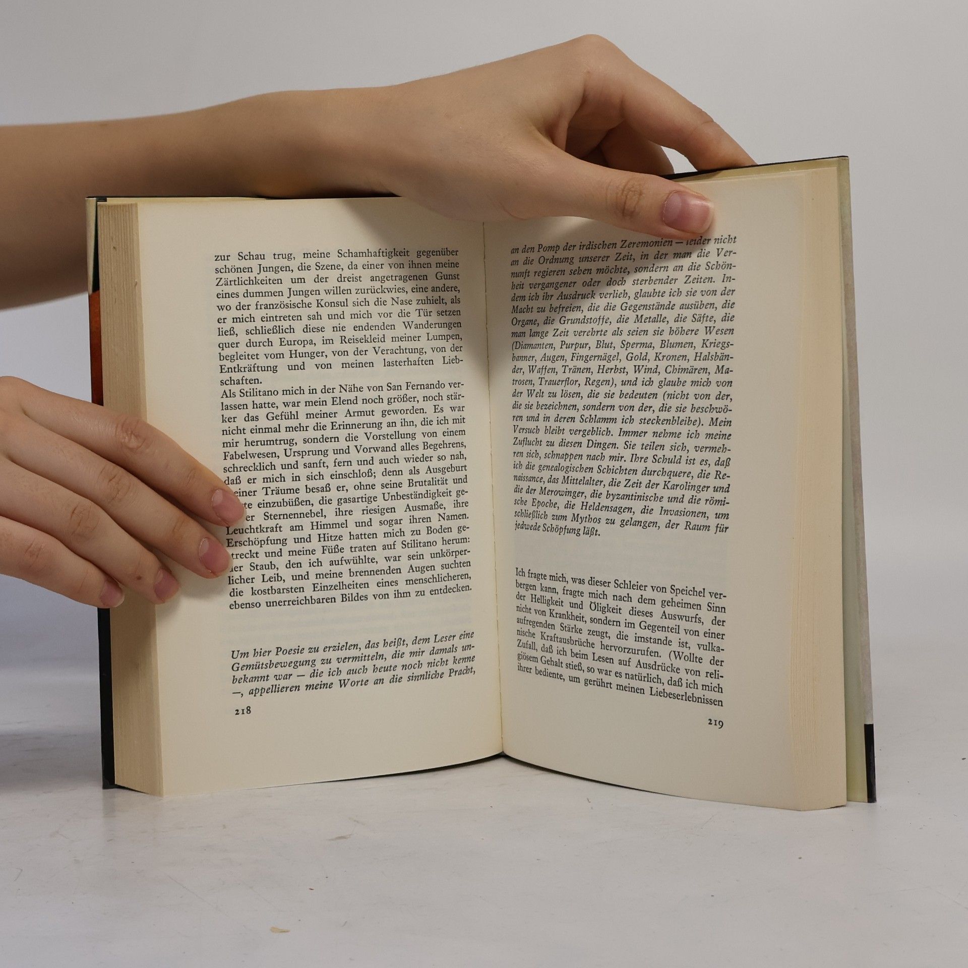 Jean Genet Tagebuch eines Diebes