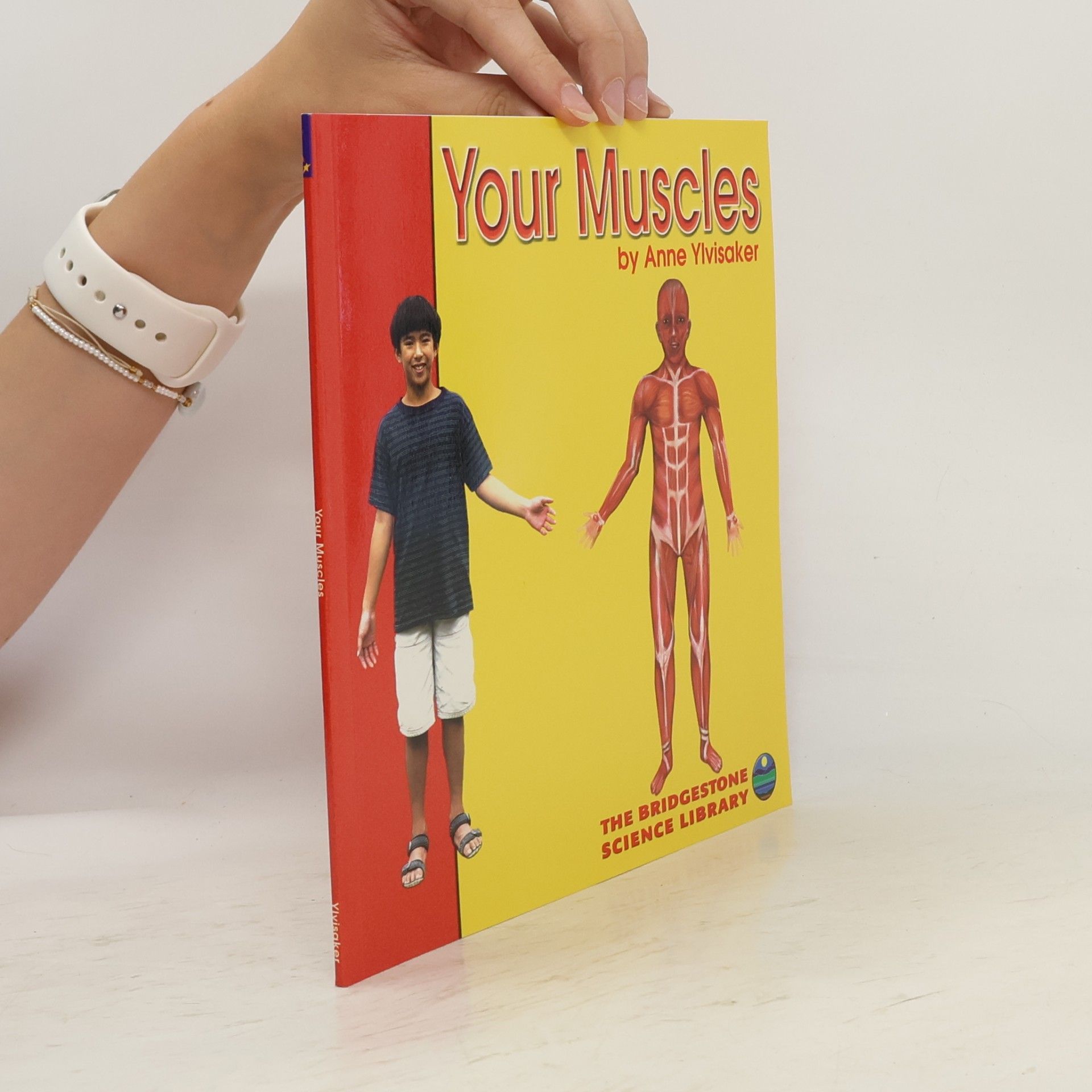 Anne Ylvisaker Your Body: Your Muscles