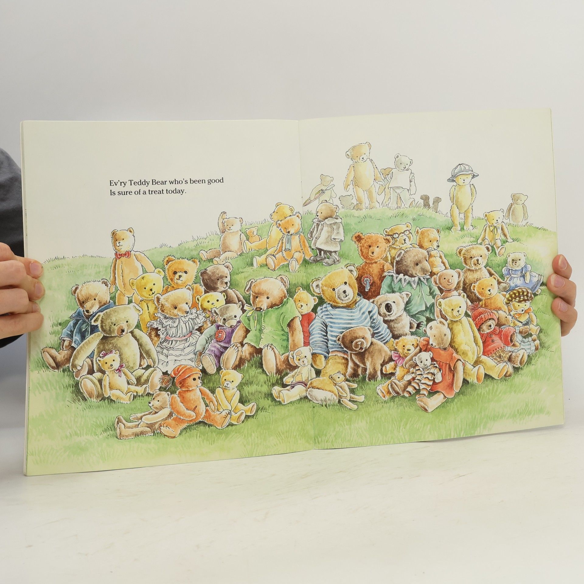 Prue Theobalds The Teddy Bears' Picnic