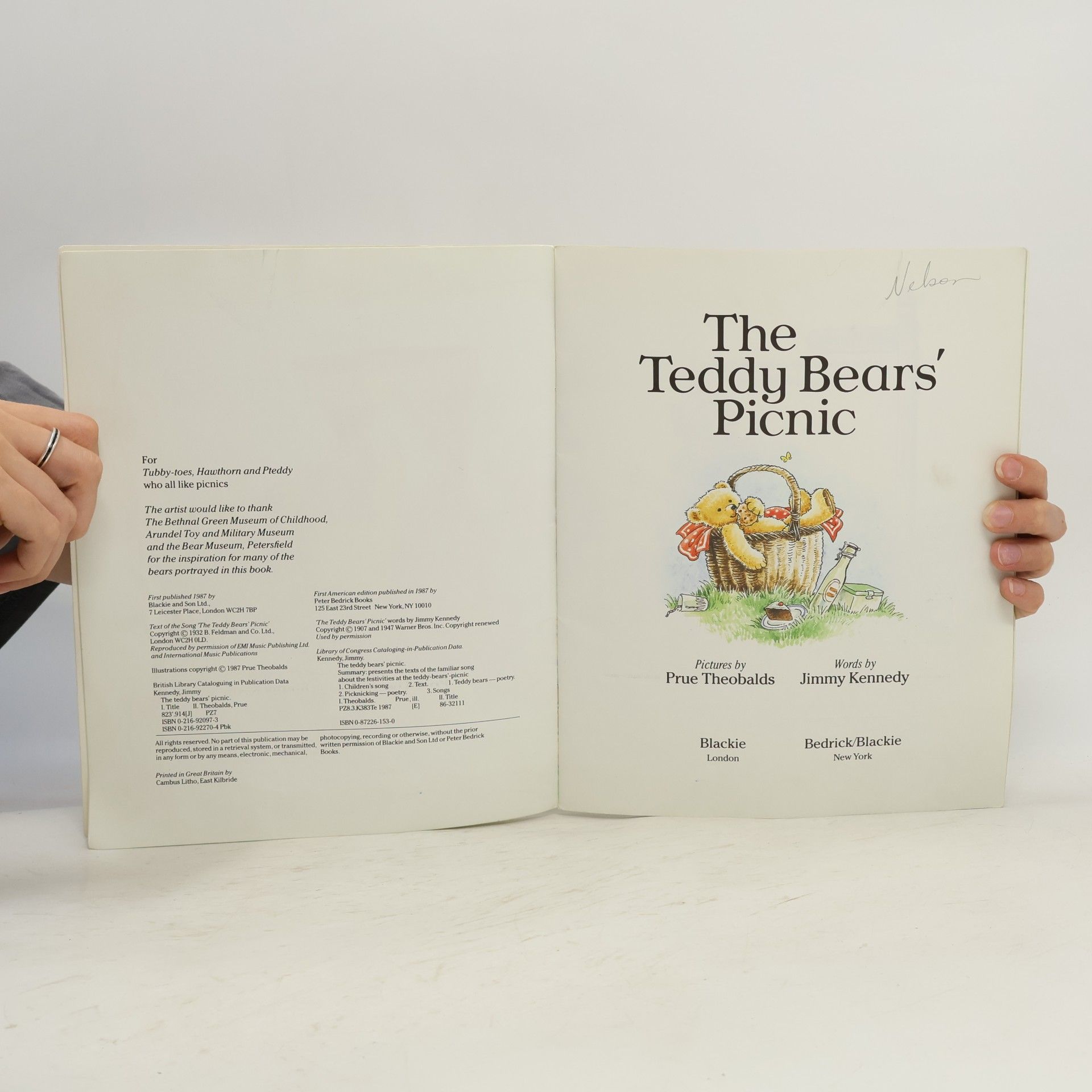 Prue Theobalds The Teddy Bears' Picnic