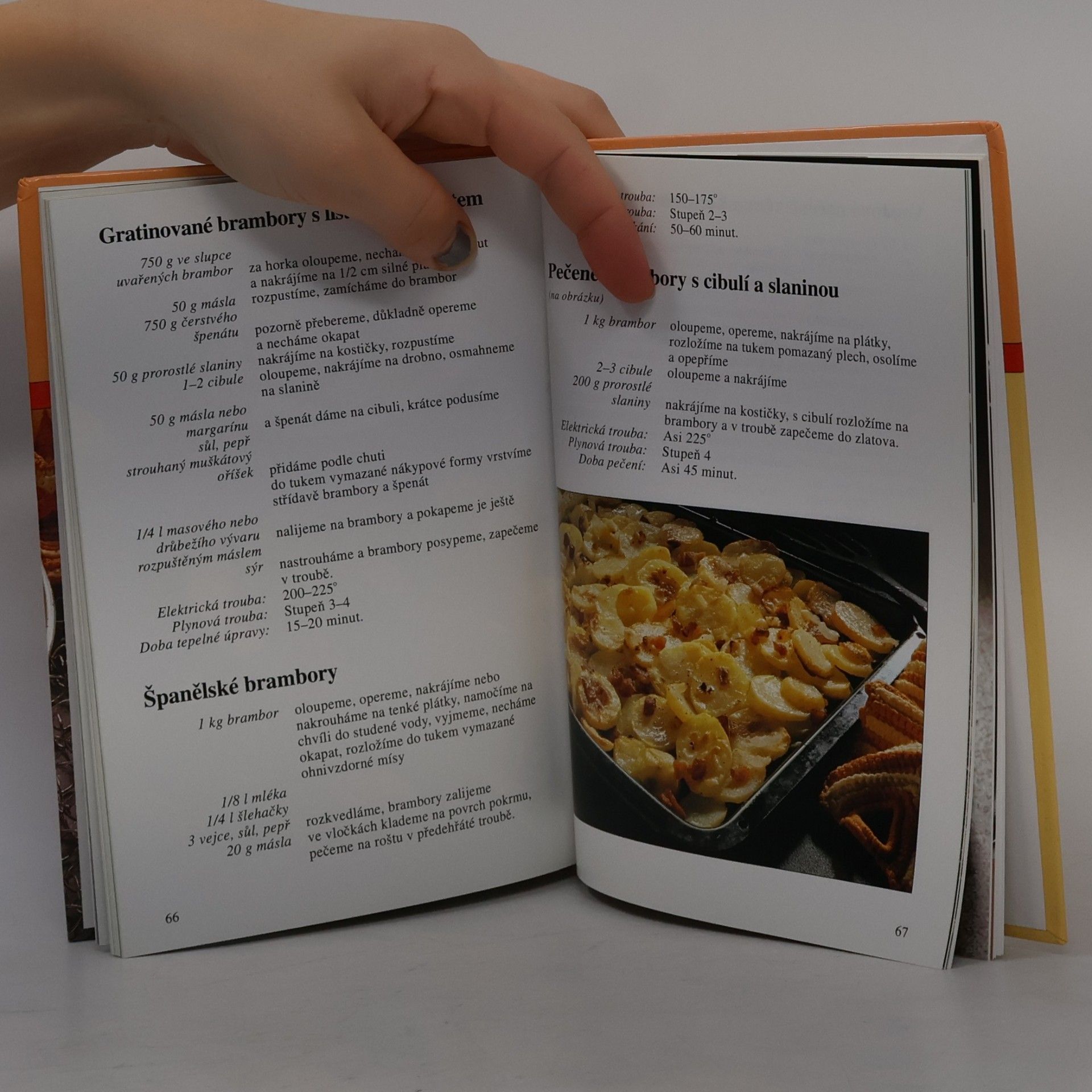 Autorenkollektiv Dr. Oetker. Brambory
