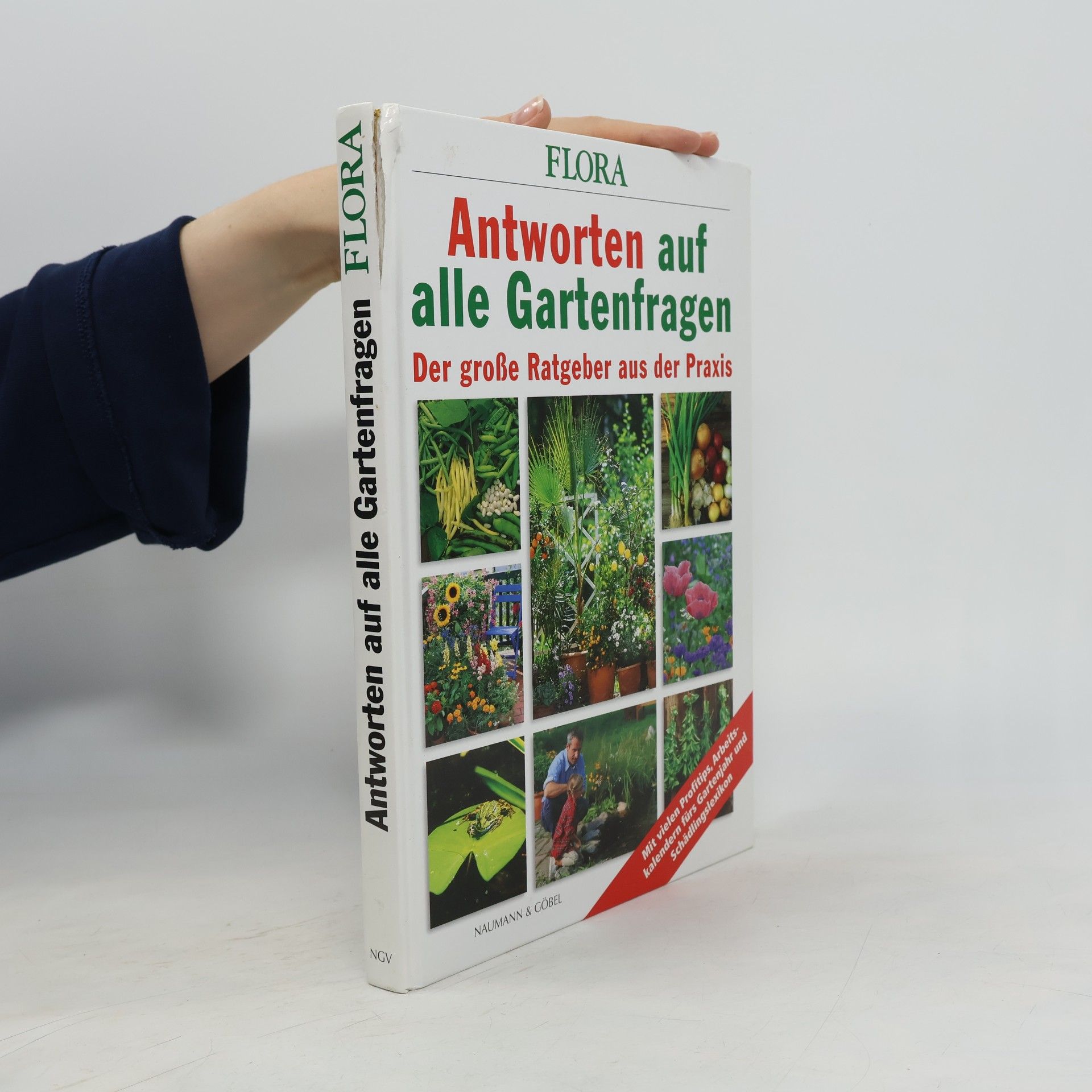 Autorenkollektiv Antworten auf alle Gartenfragen