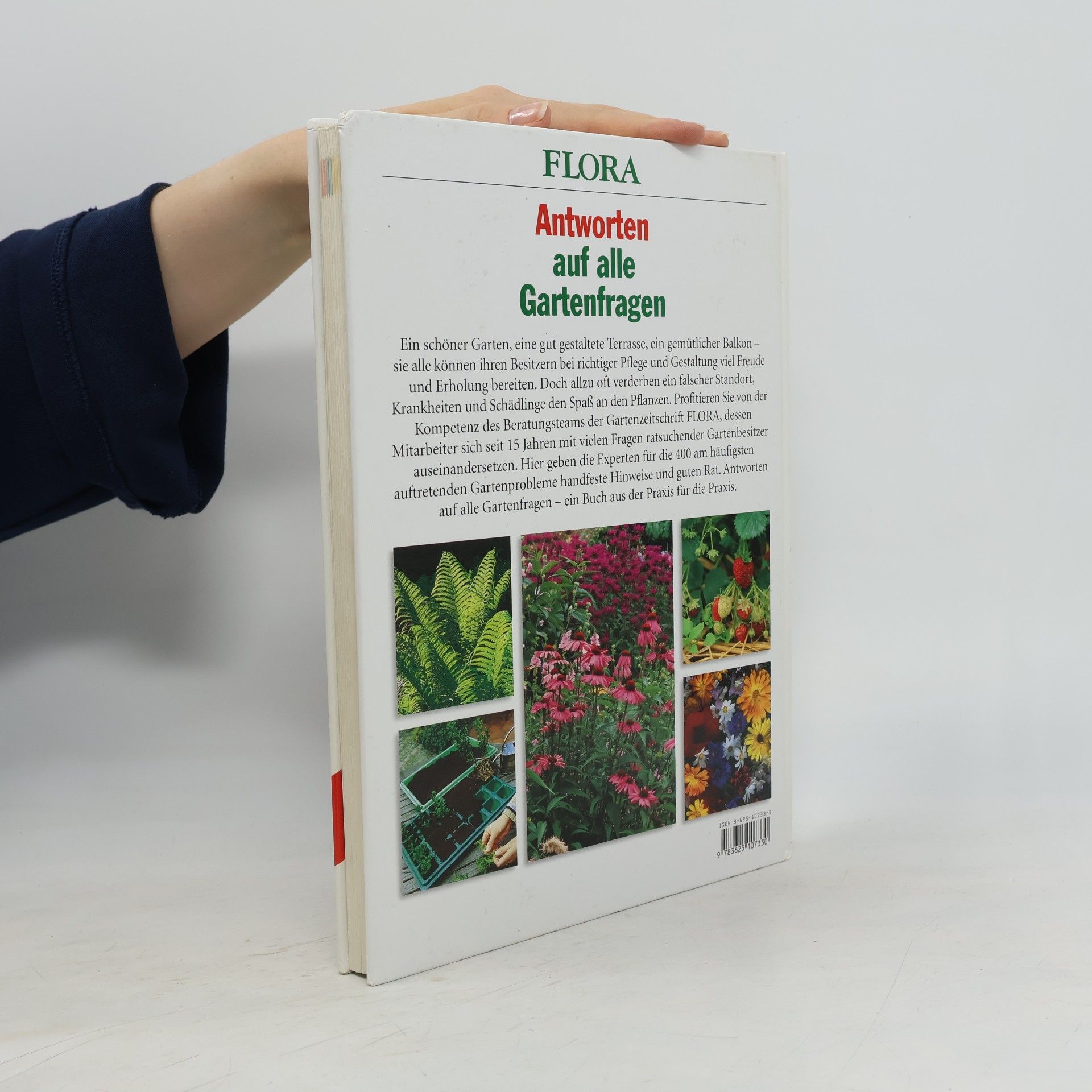 Autorenkollektiv Antworten auf alle Gartenfragen