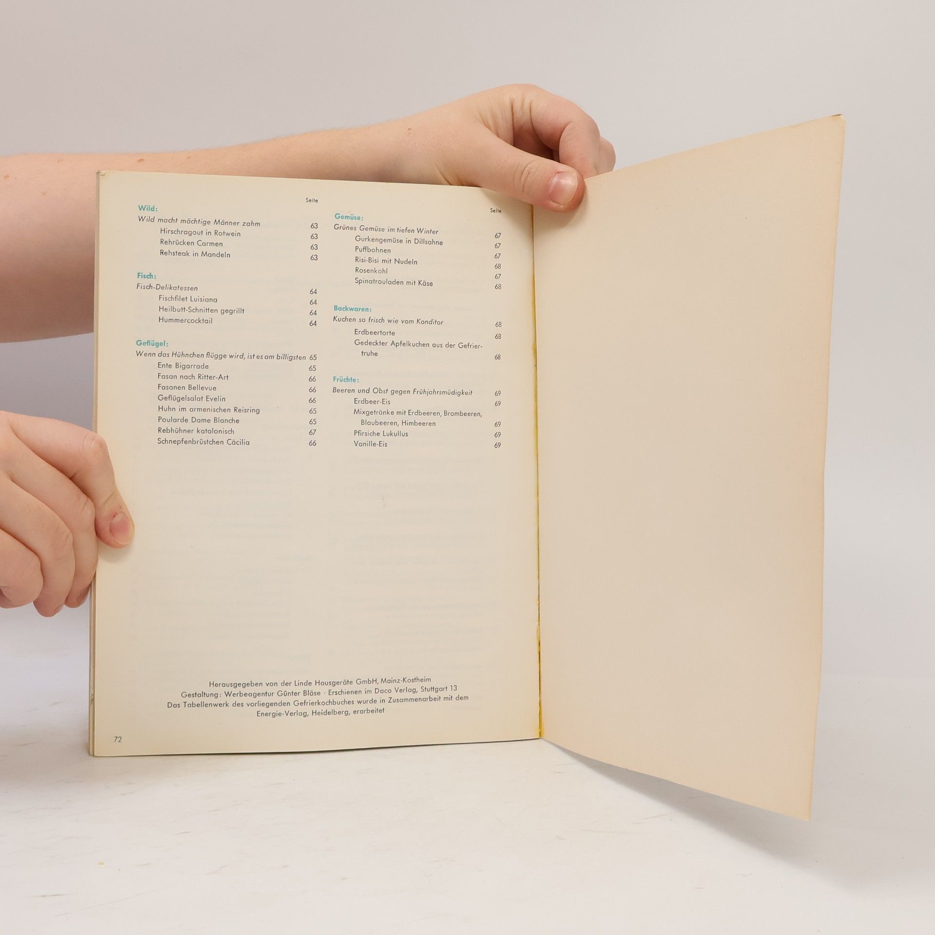 Kolektiv autorů Mein Gefrier Kochbuch