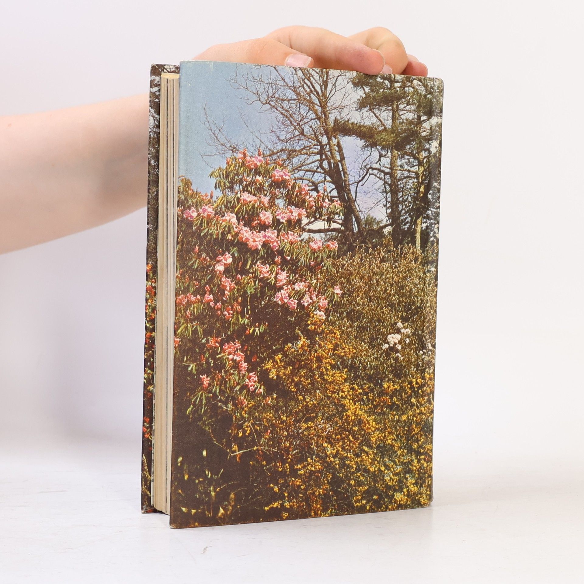 Peter Hunt The Shell Gardens Book