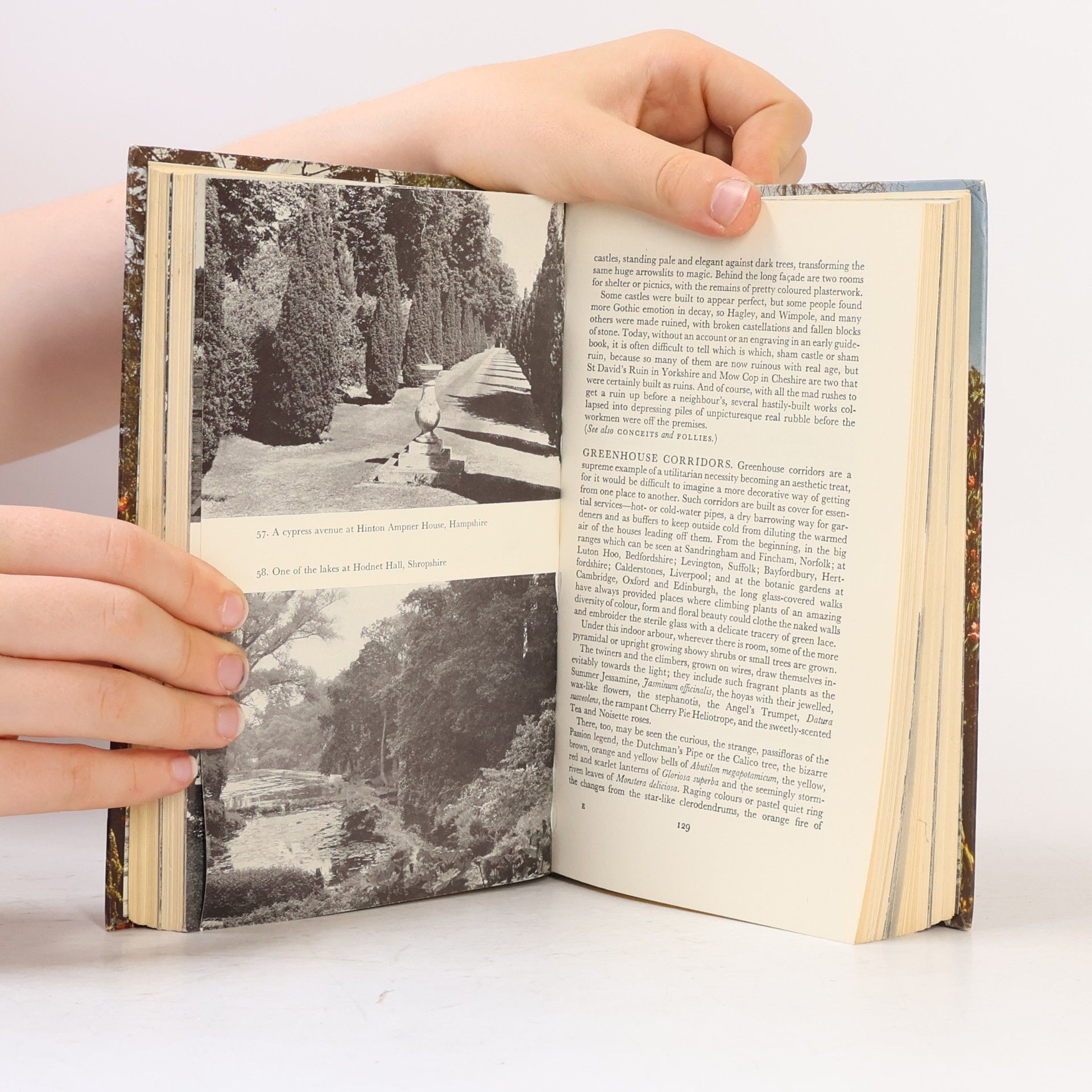 Peter Hunt The Shell Gardens Book