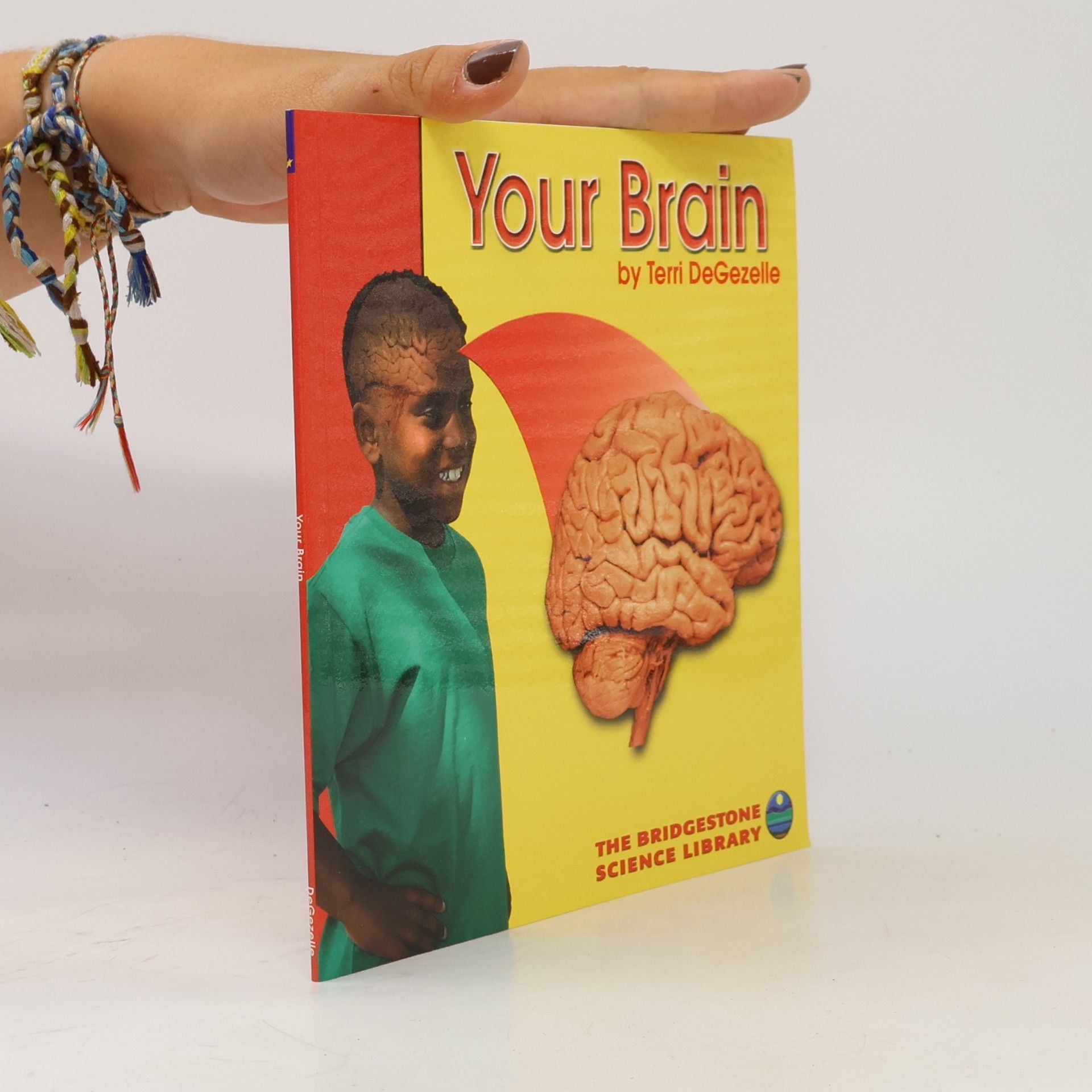 Terri DeGezelle Your Brain