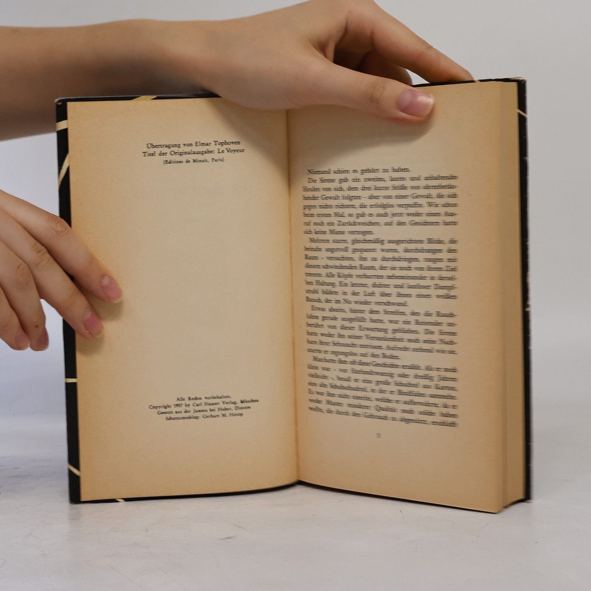 Alain Robbe-Grillet Der Augenzeuge