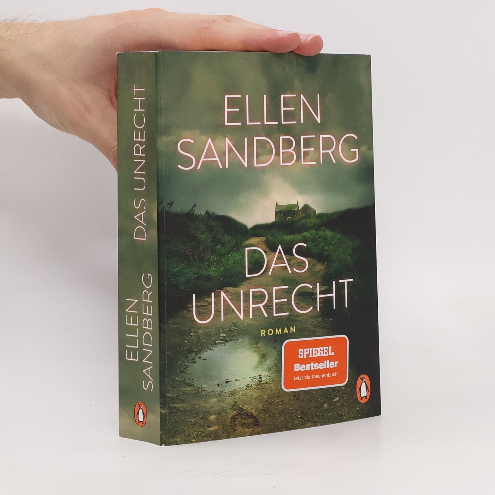 Ellen Sandberg Das Unrecht