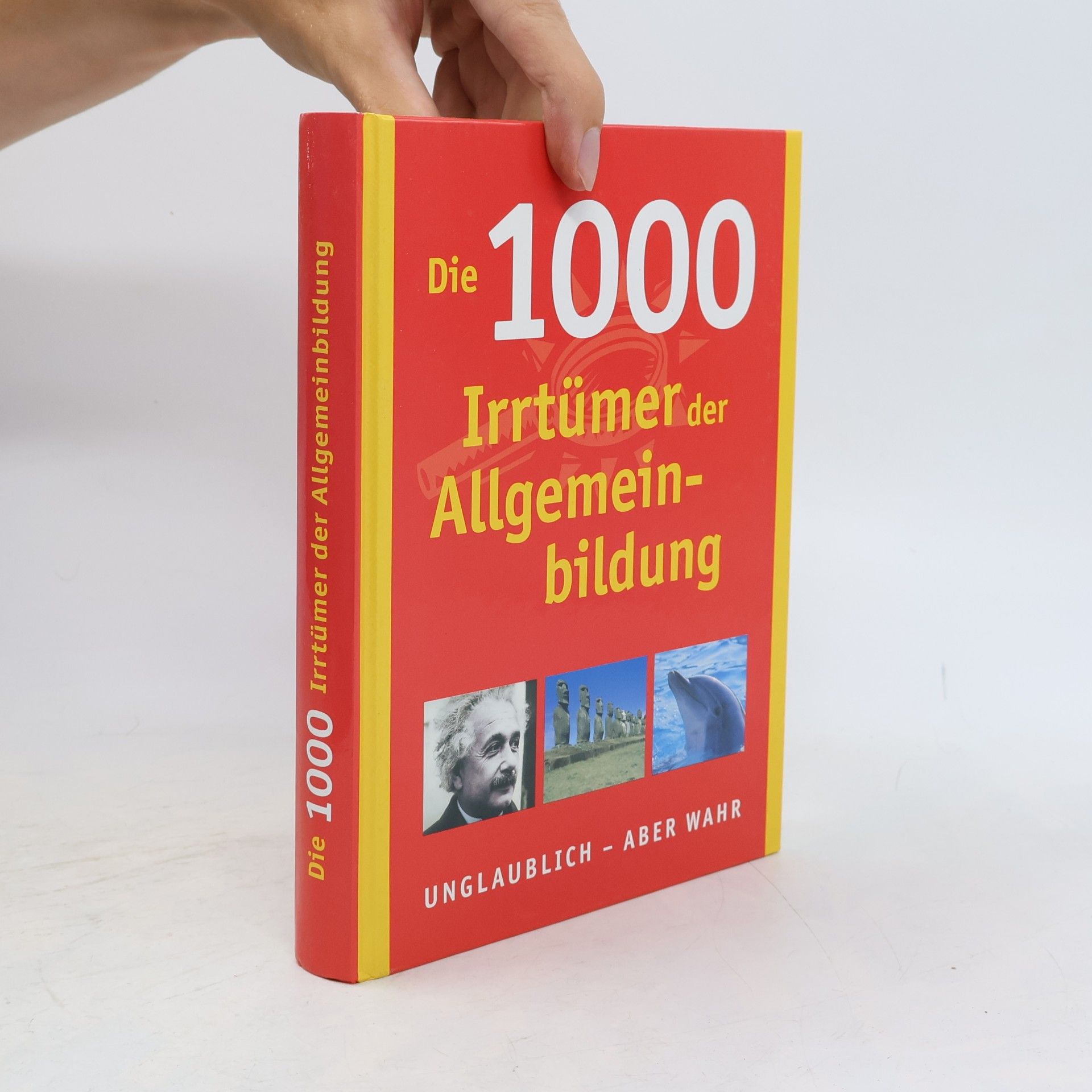 koelektiv Die 1000 Irrtümer der Allgemeinbildung