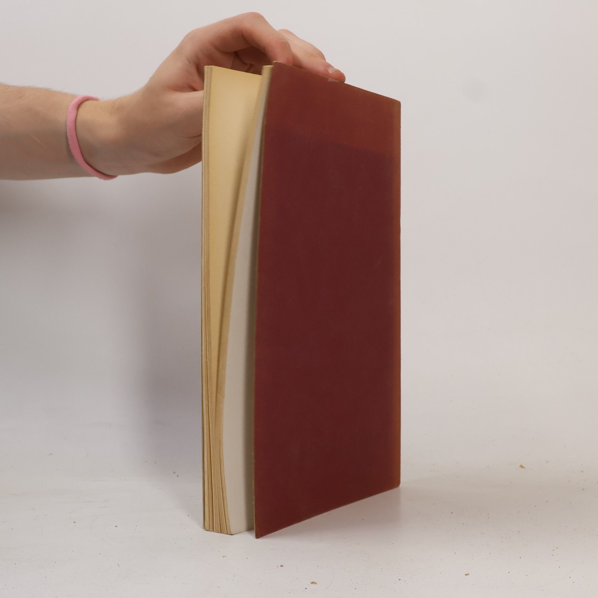 Hermann Knackfuß Raffael
